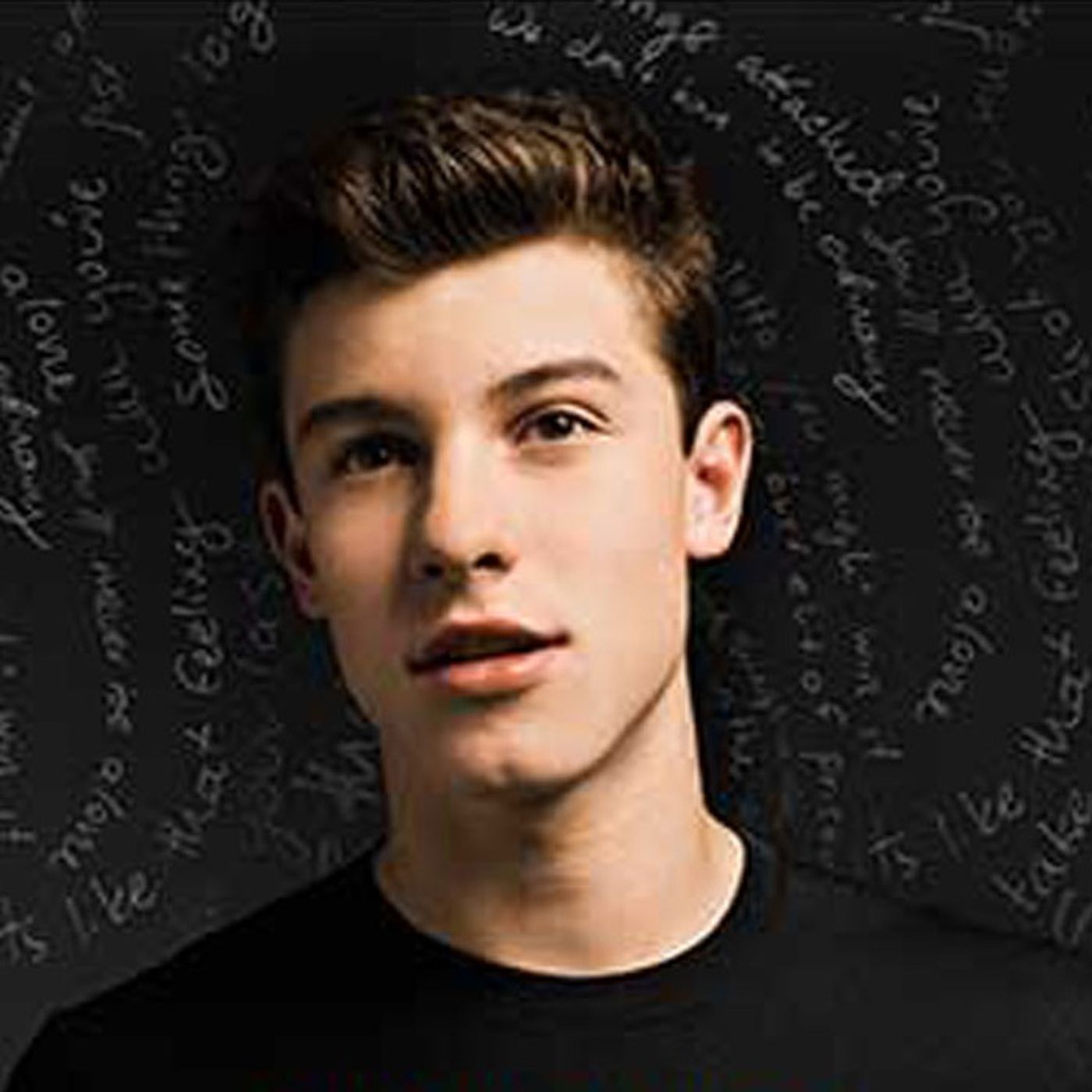 Shawn Mendes episode artwork