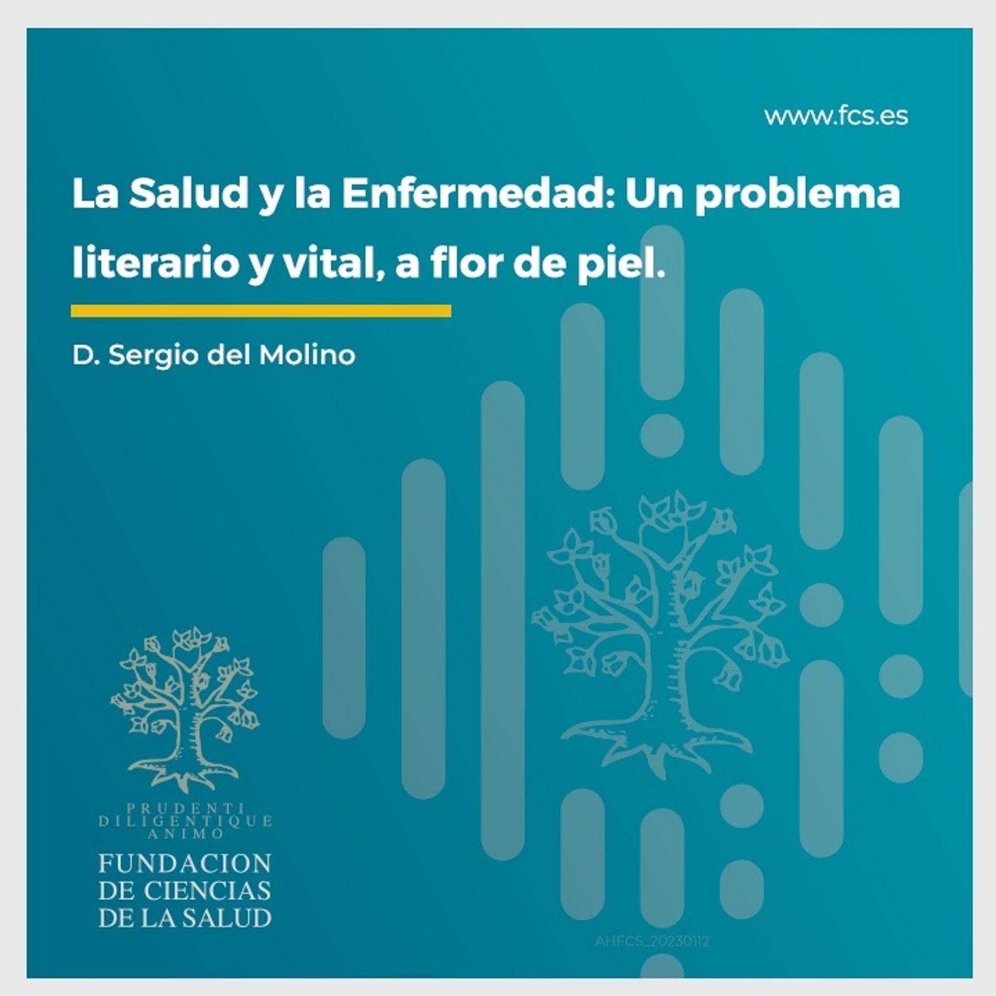 Con otra Mirada, Literatura y Enfermedad