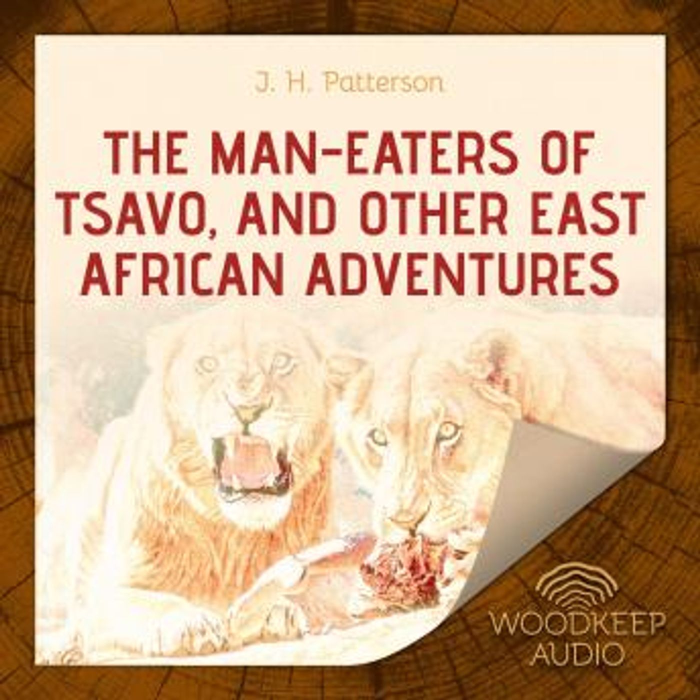Explore New Full Audiobooks in History, Africa