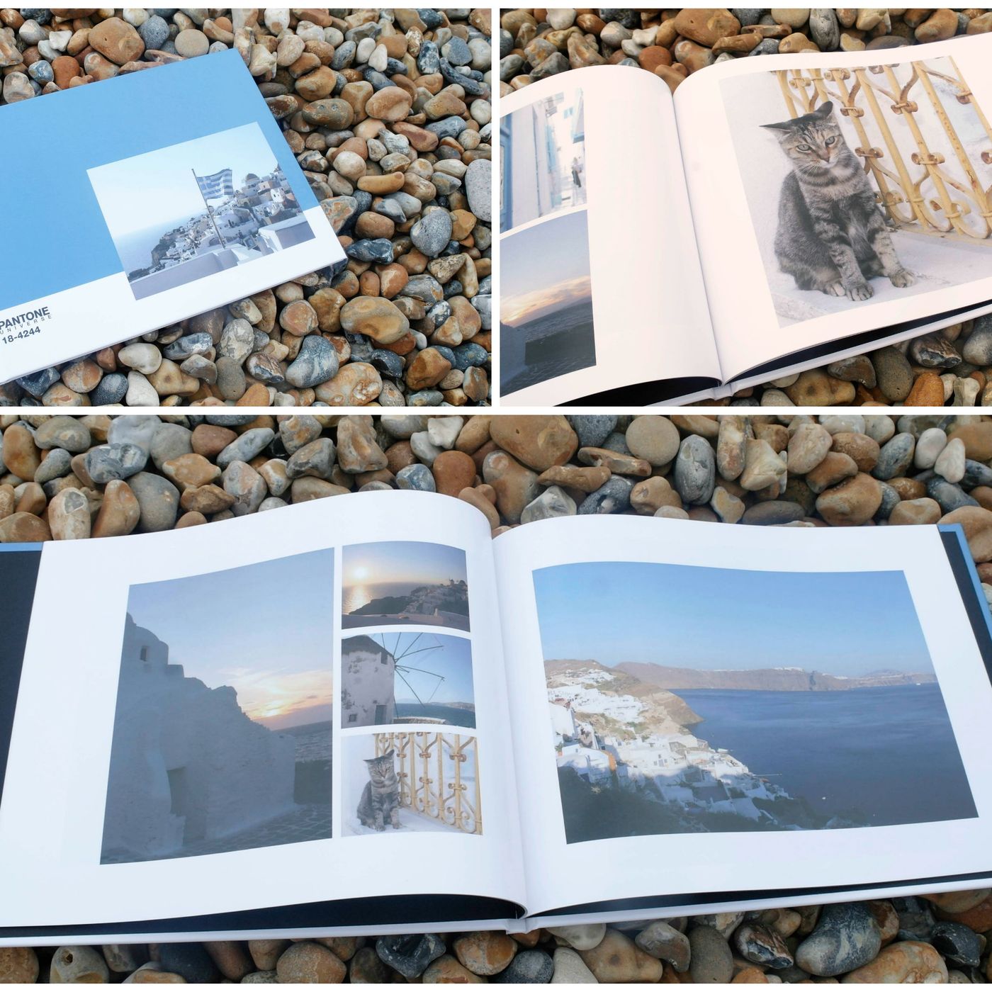 Les carnets d\'un quarantenaire curieux