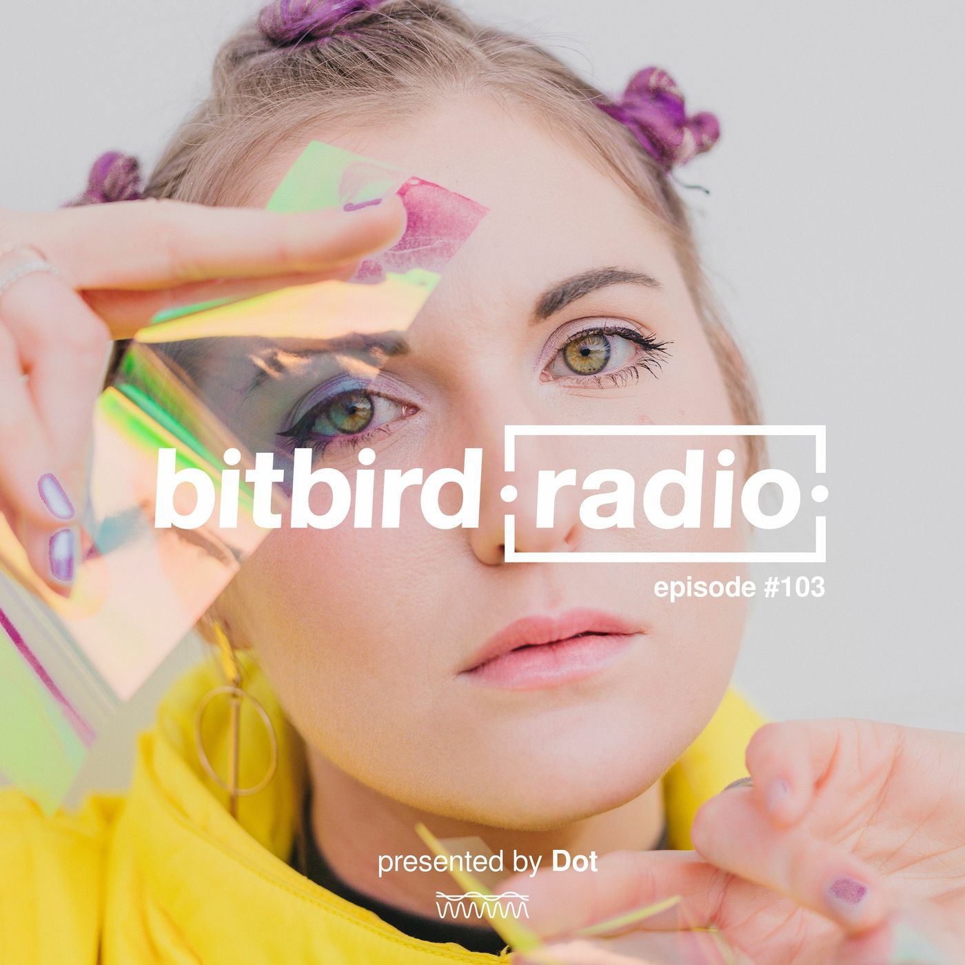 Dot Presents: bitbird radio #103