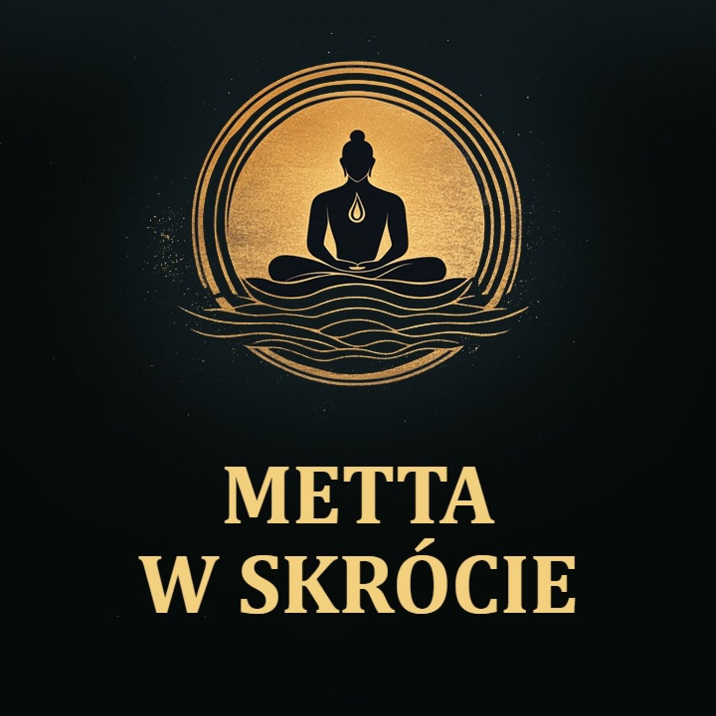 Metta w skrócie [LEKTOR PL]