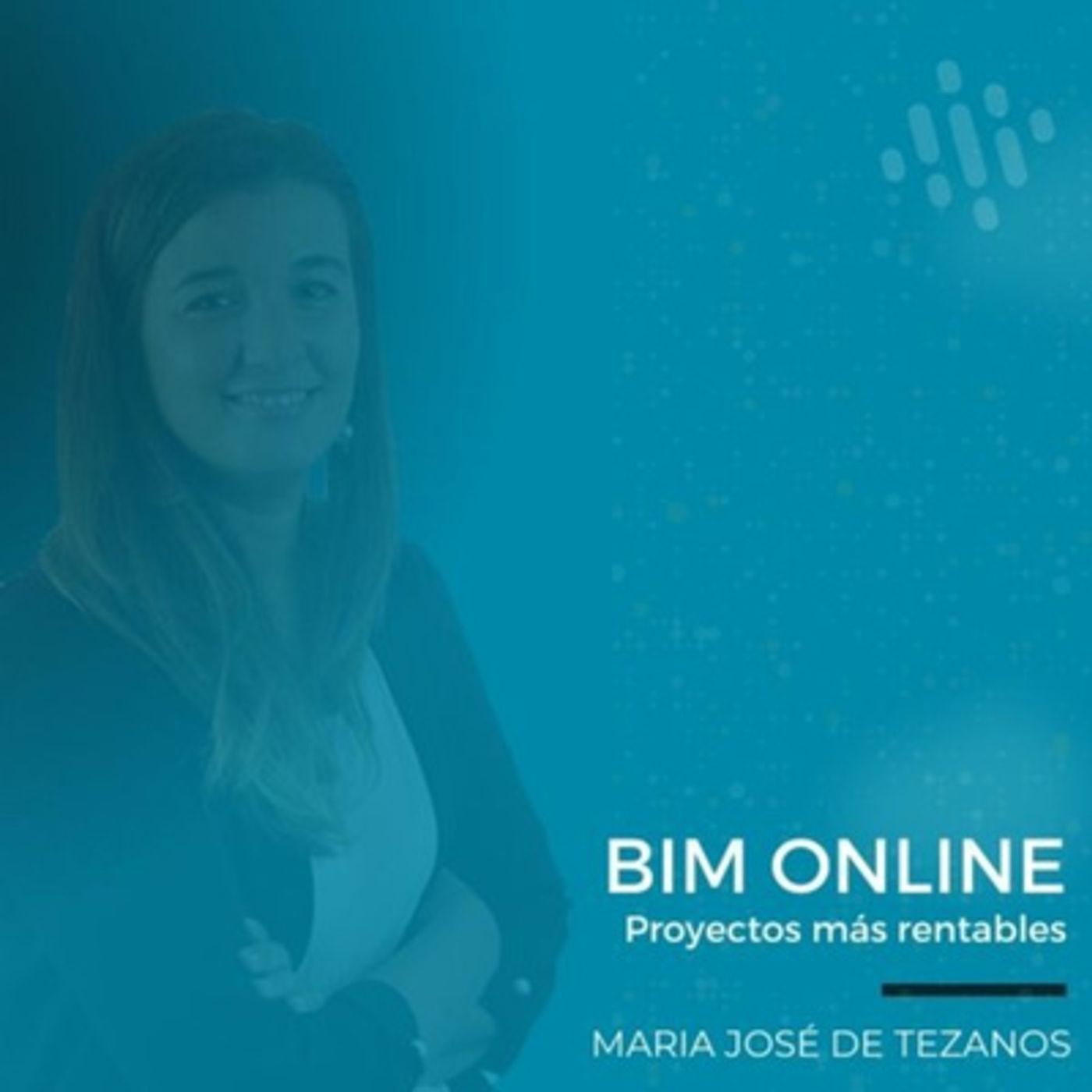 BIM online