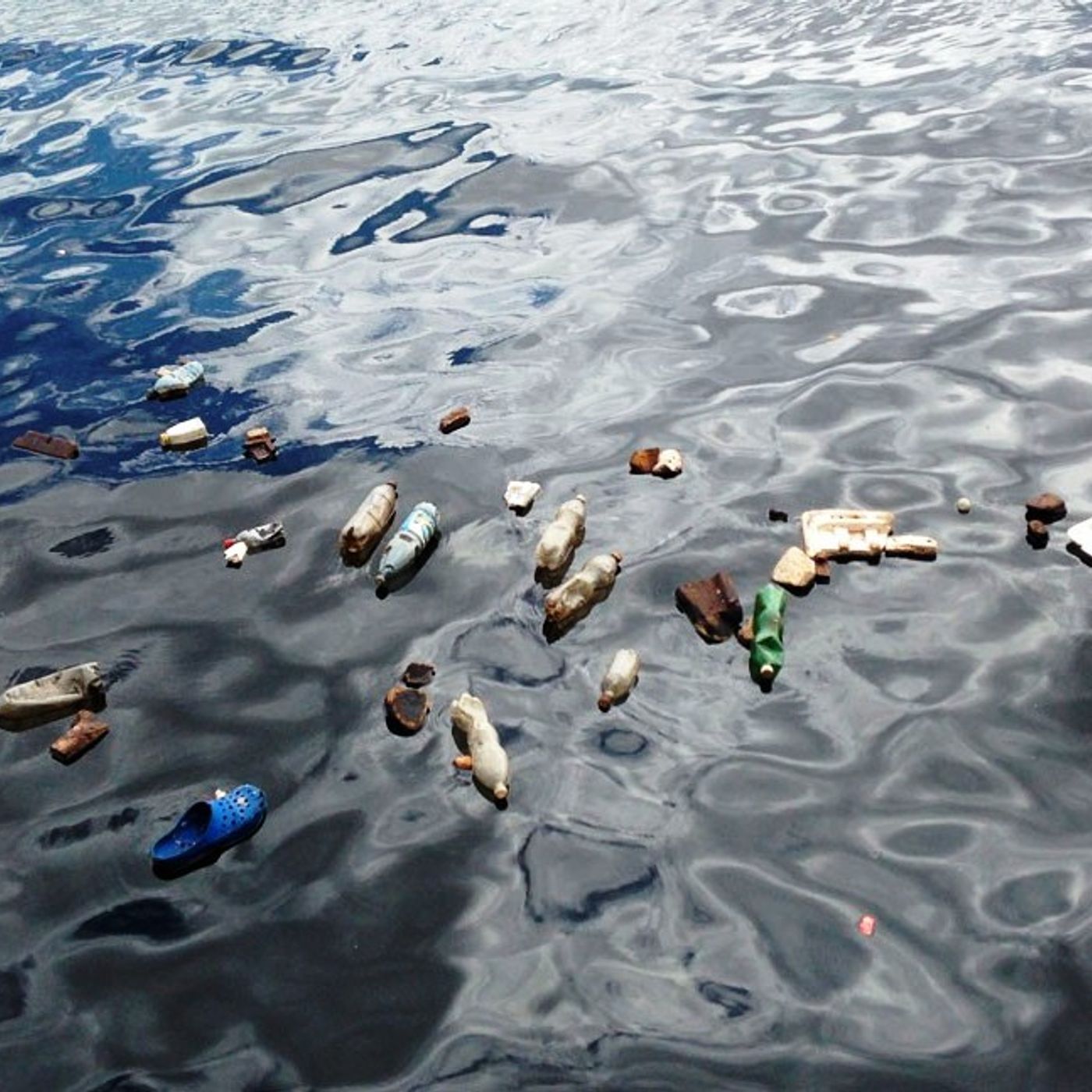 NUESTRO OXÍGENO 5 de junio Día mundial del medio ambiente