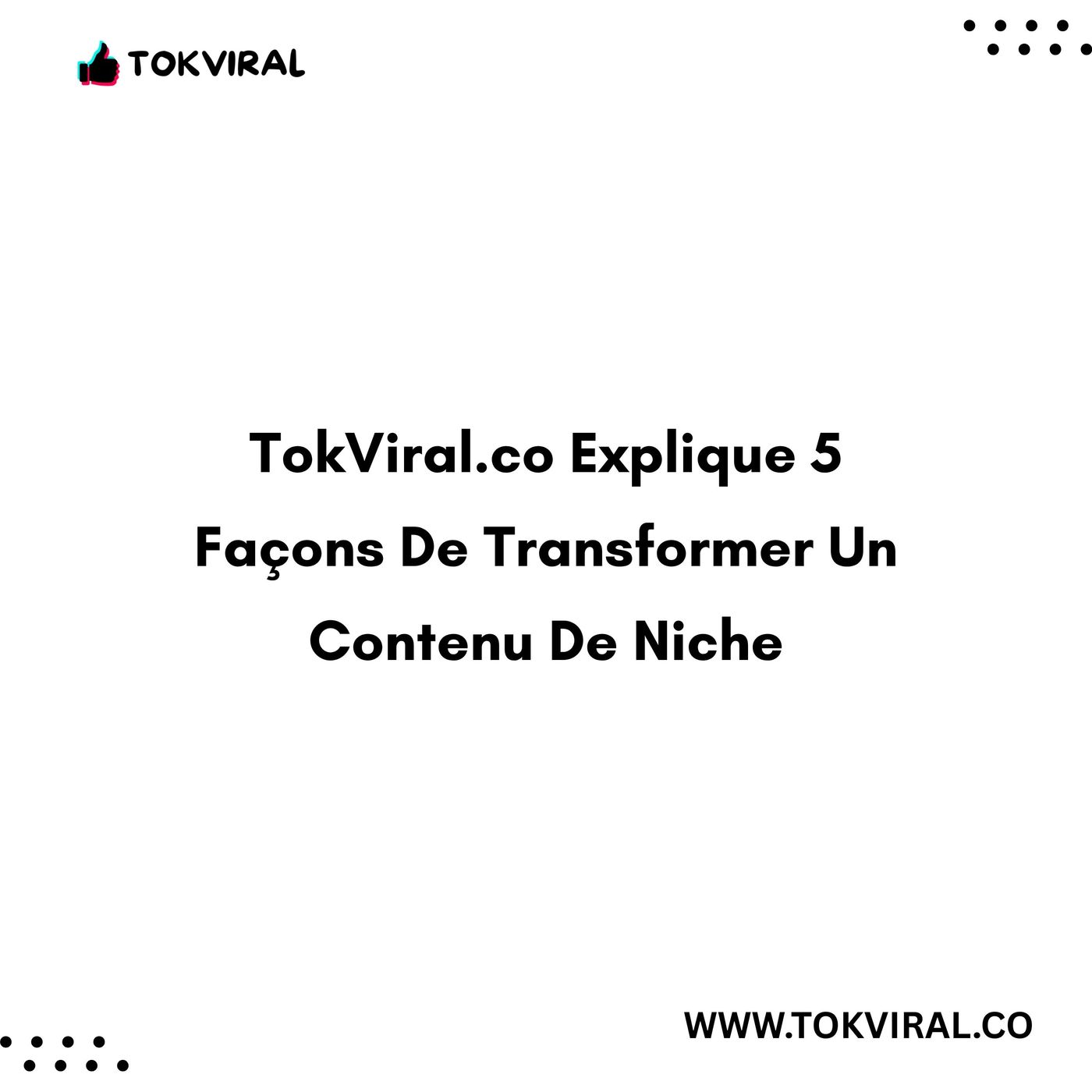 TokViral.co Explique 5 Façons De Transformer Un Contenu De Niche episode artwork