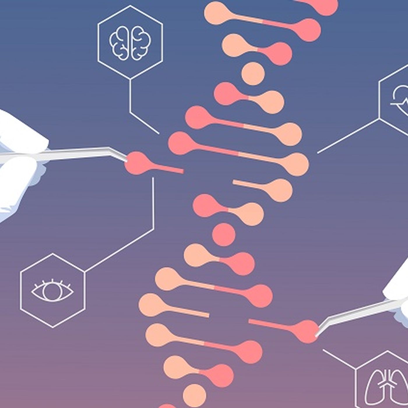 Playing God with Human Genes