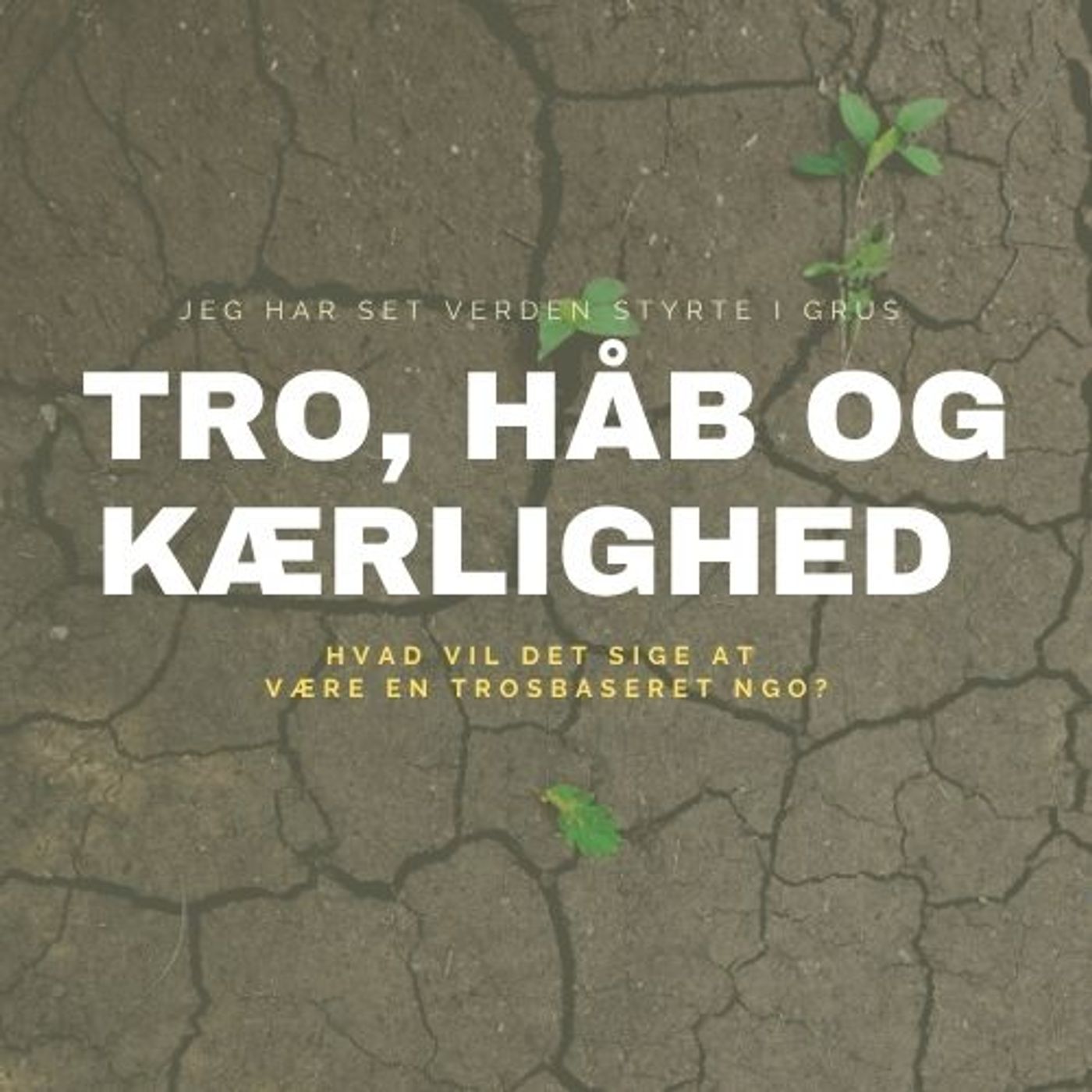 TRO, HÅB og KÆRLIGHED: Hvad vil det sige at være en trosbaseret NGO?