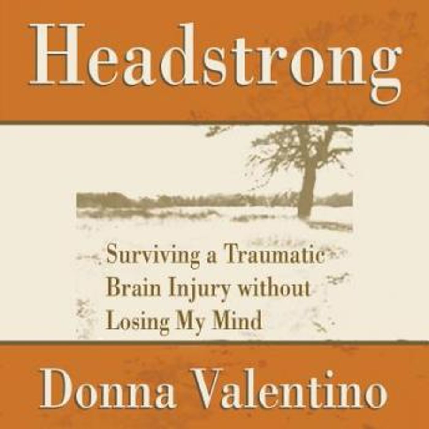 Headstrong: Surviving a Traumatic Brain Injury without Losing My Mind by Donna Valentino episode artwork