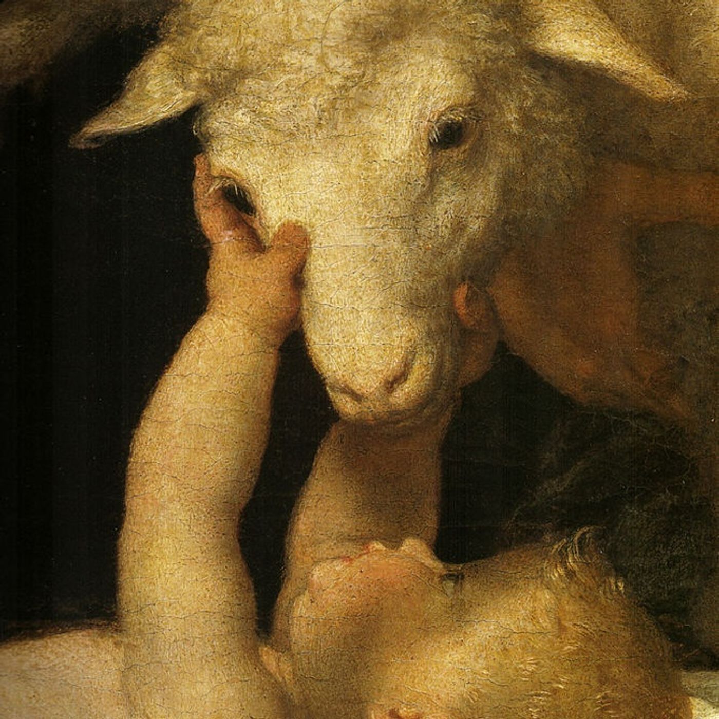 Aspettando Natale Ogni giorno una storia