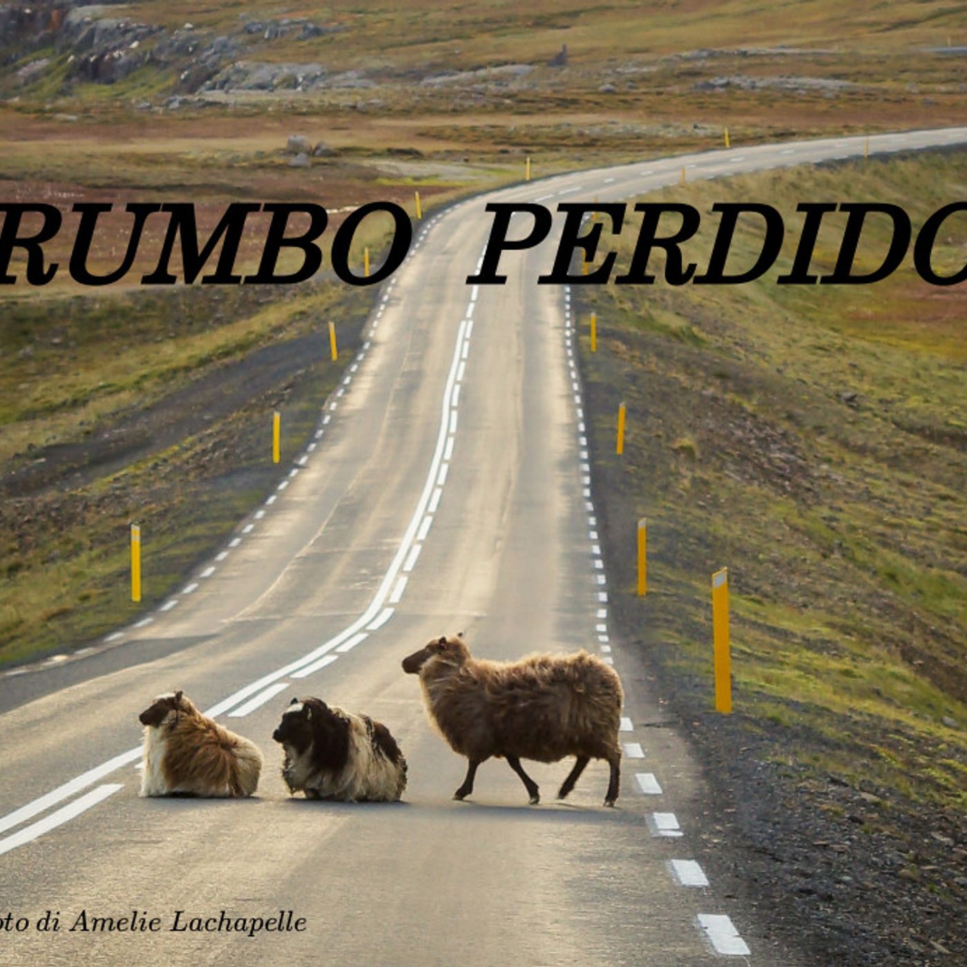 Rumbo Perdido