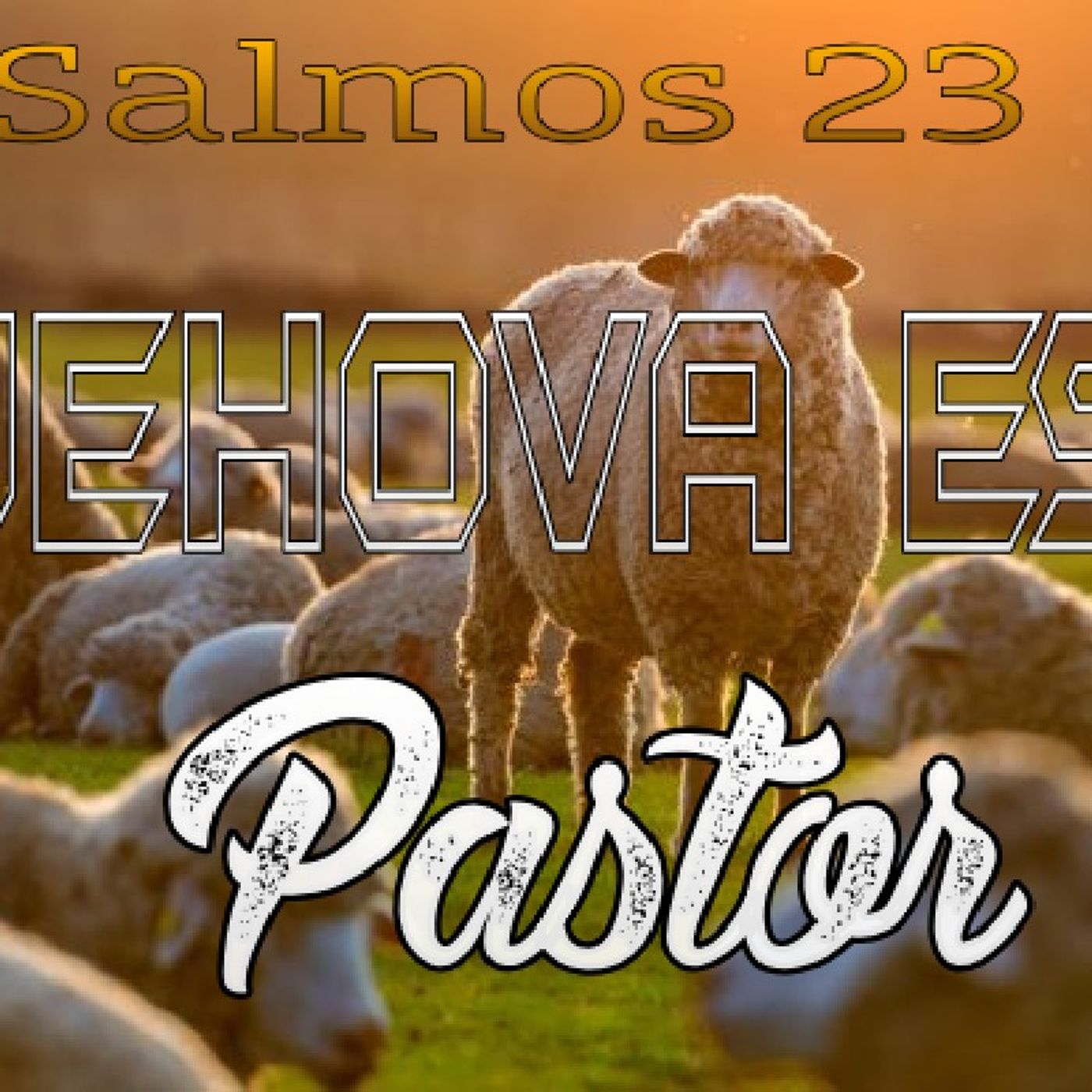 COMENTANDO LA BIBLIA HOY