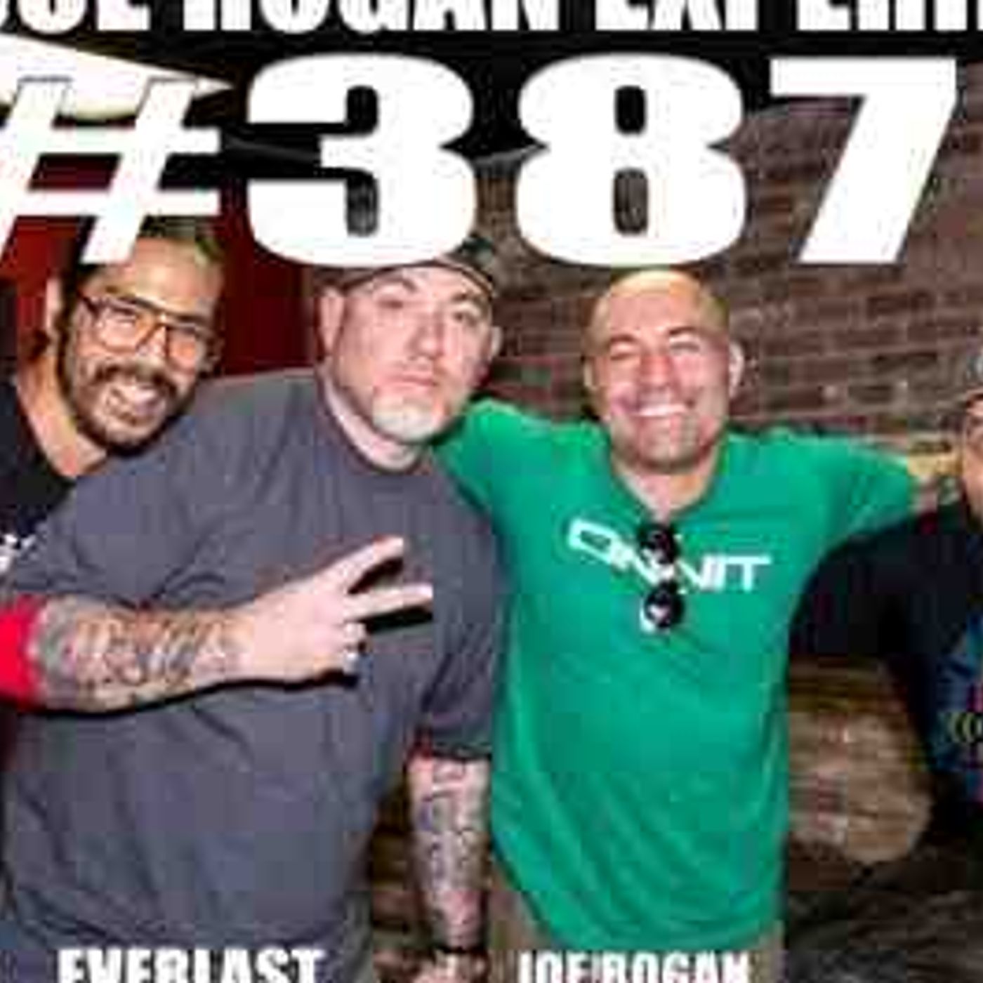 Joe Rogan Experience _387 - Everlast episode artwork