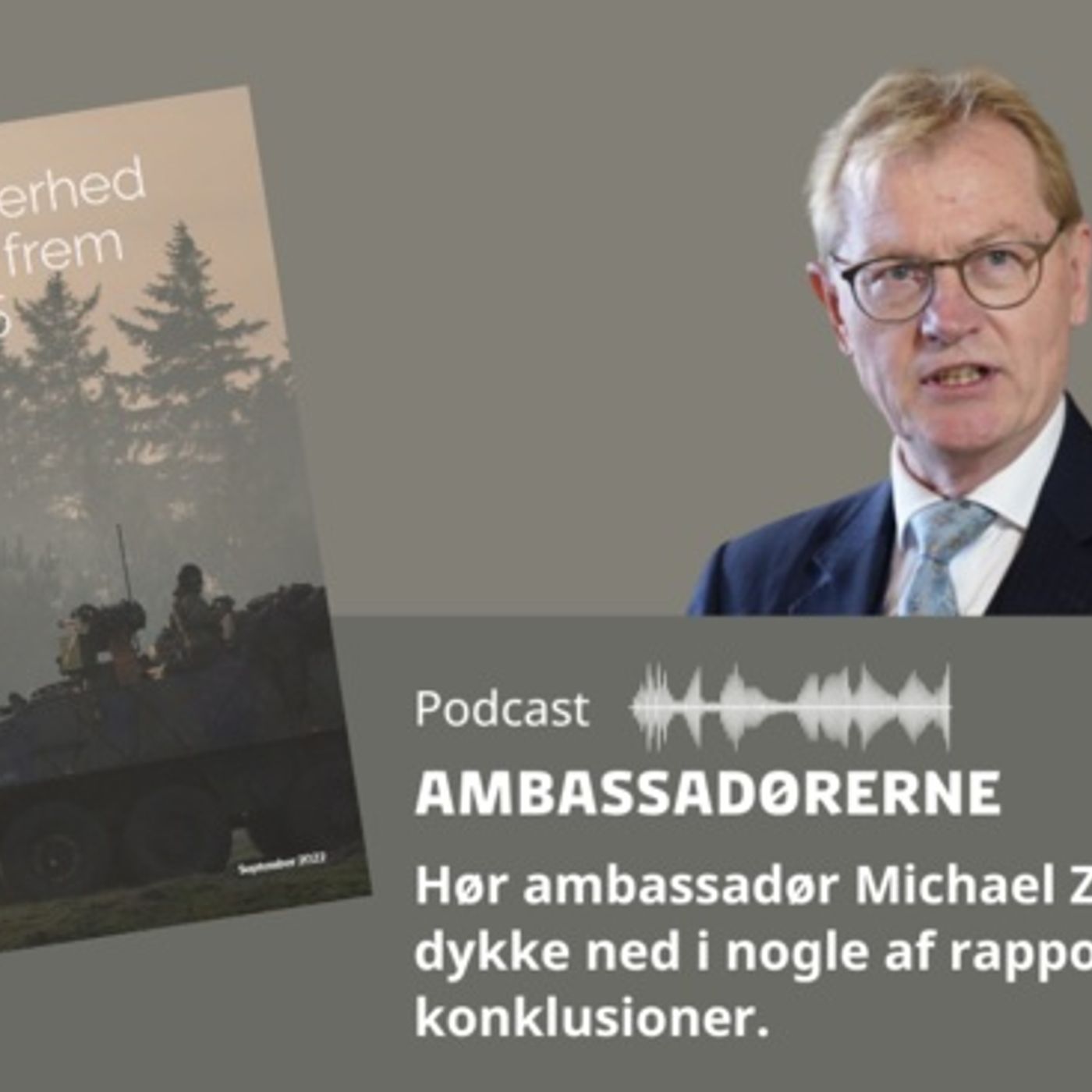 Ambassadørerne