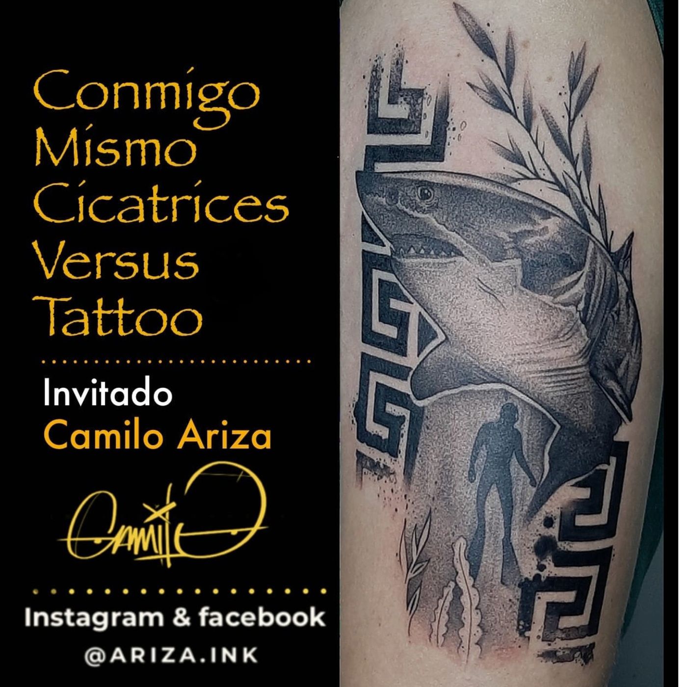 El Transistor Temas al Aire Libre