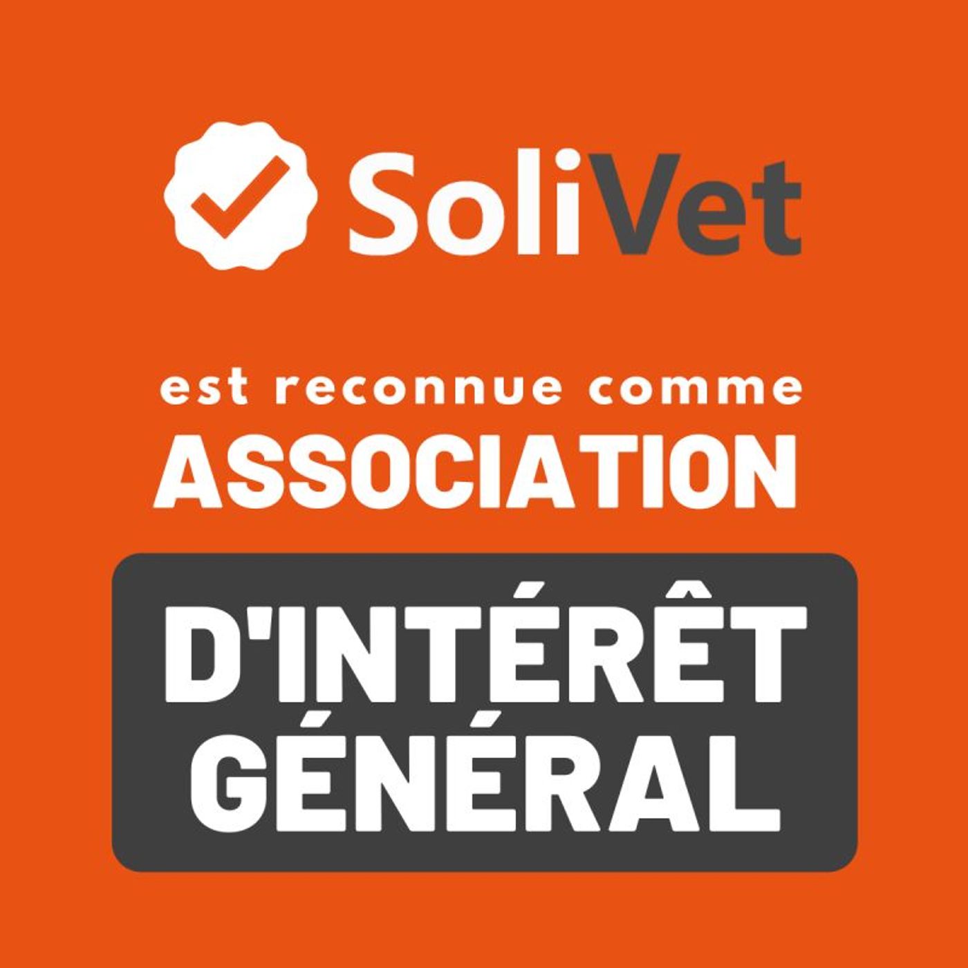 Un Chien Dans La Ville