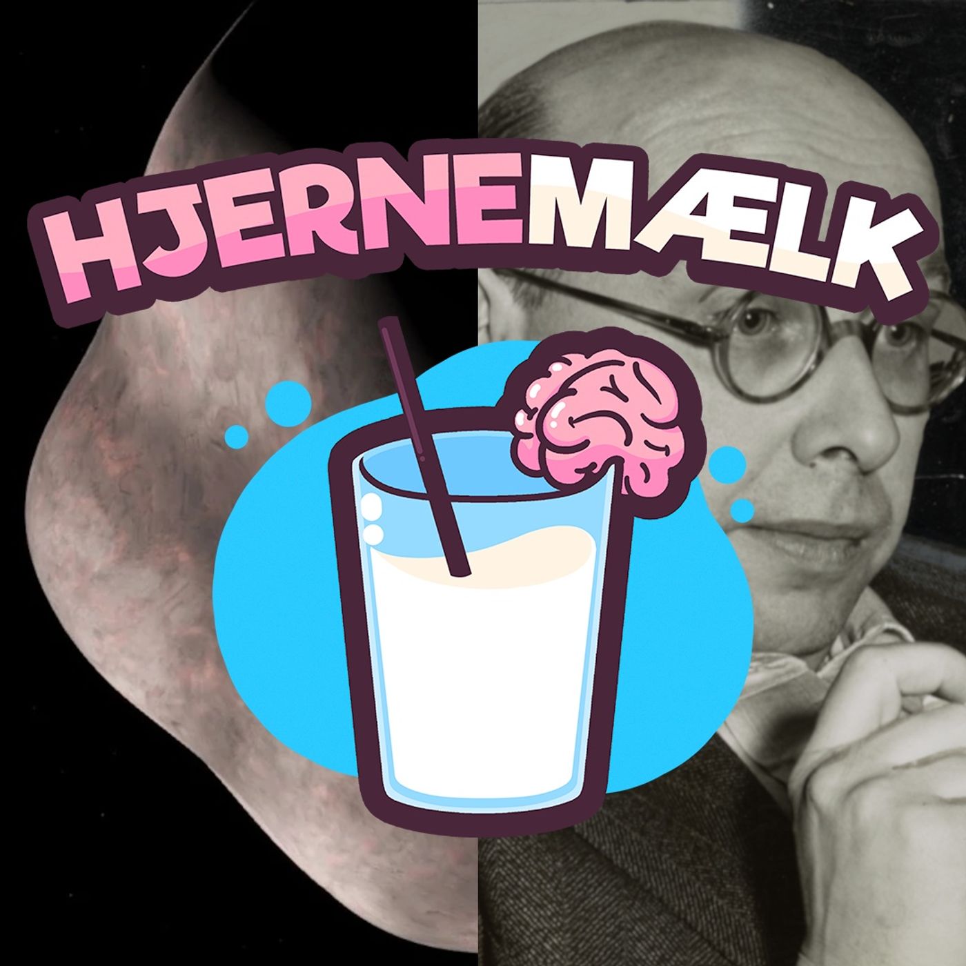 Hjernemælk