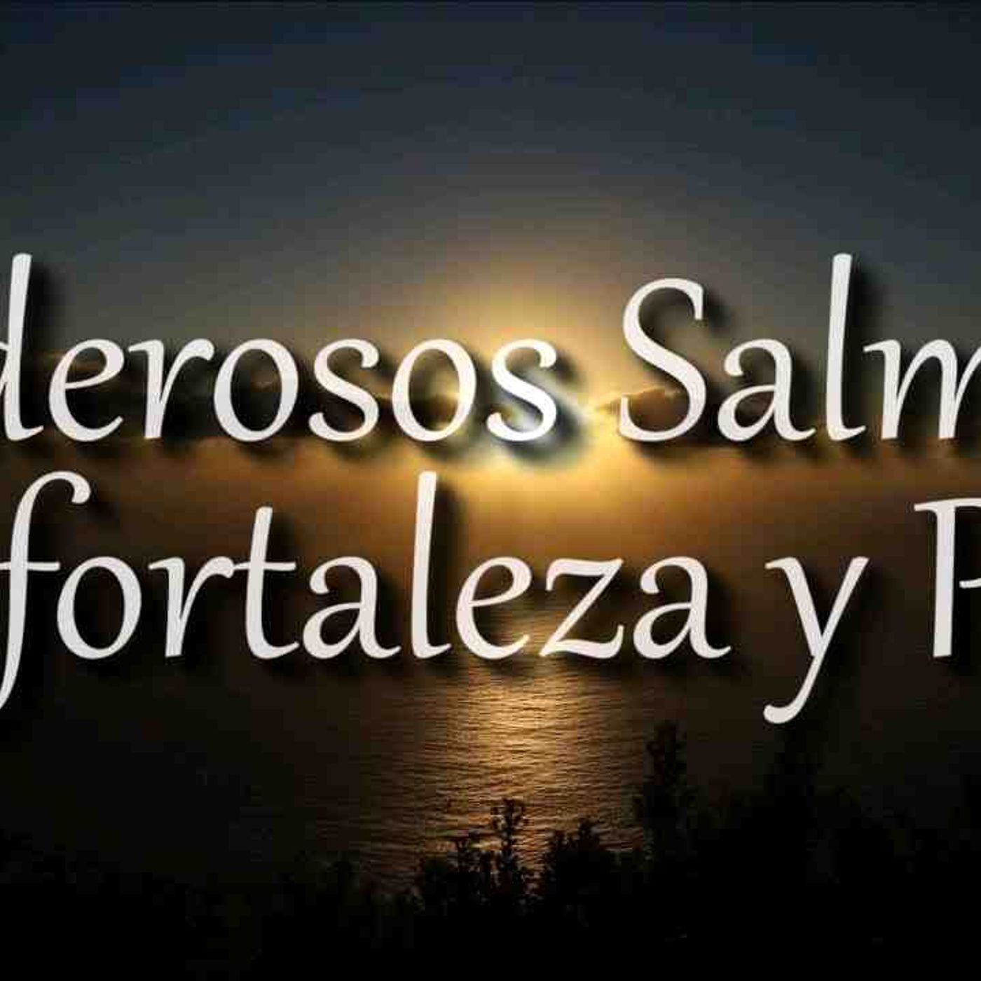 30 min de poderosos Salmos _ Salmo 91_ 121_ 23_ 27_ 34 y más _ Biblia audio _ Motivación cristiana(MP3_160K) episode artwork