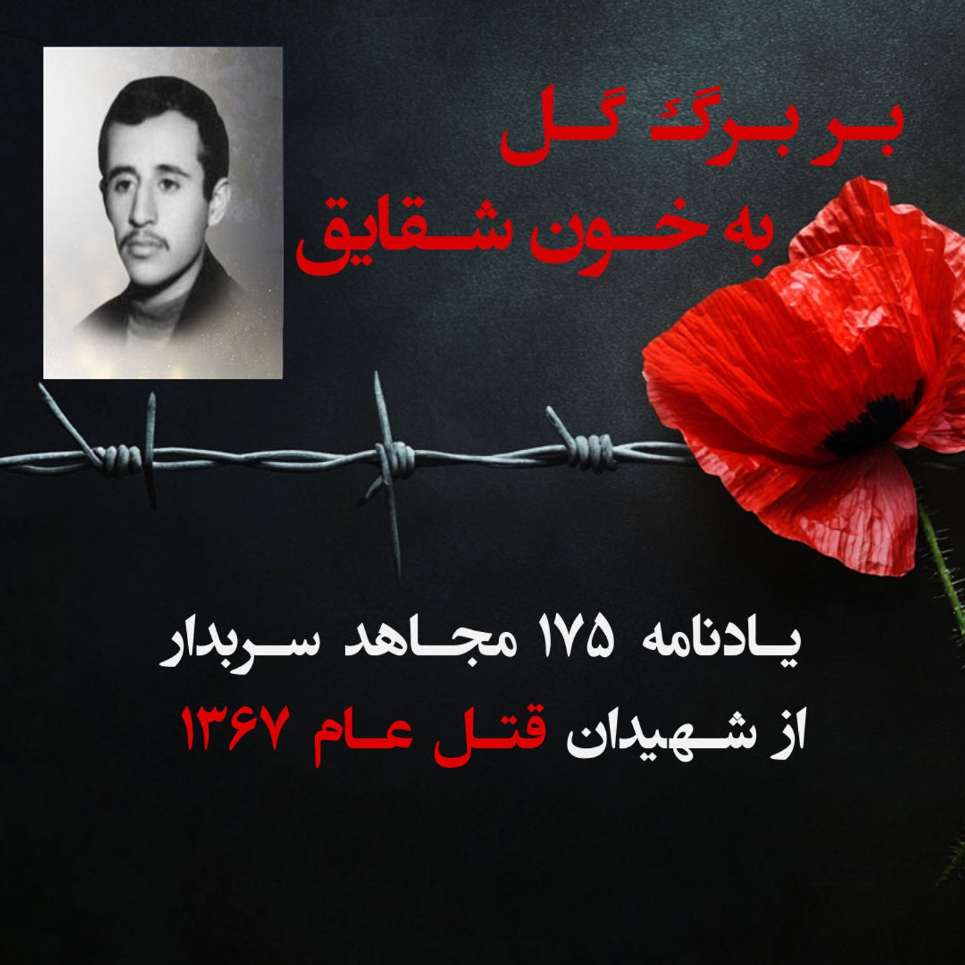 بربرگ گل به خون شقایق- دایوش رضایی