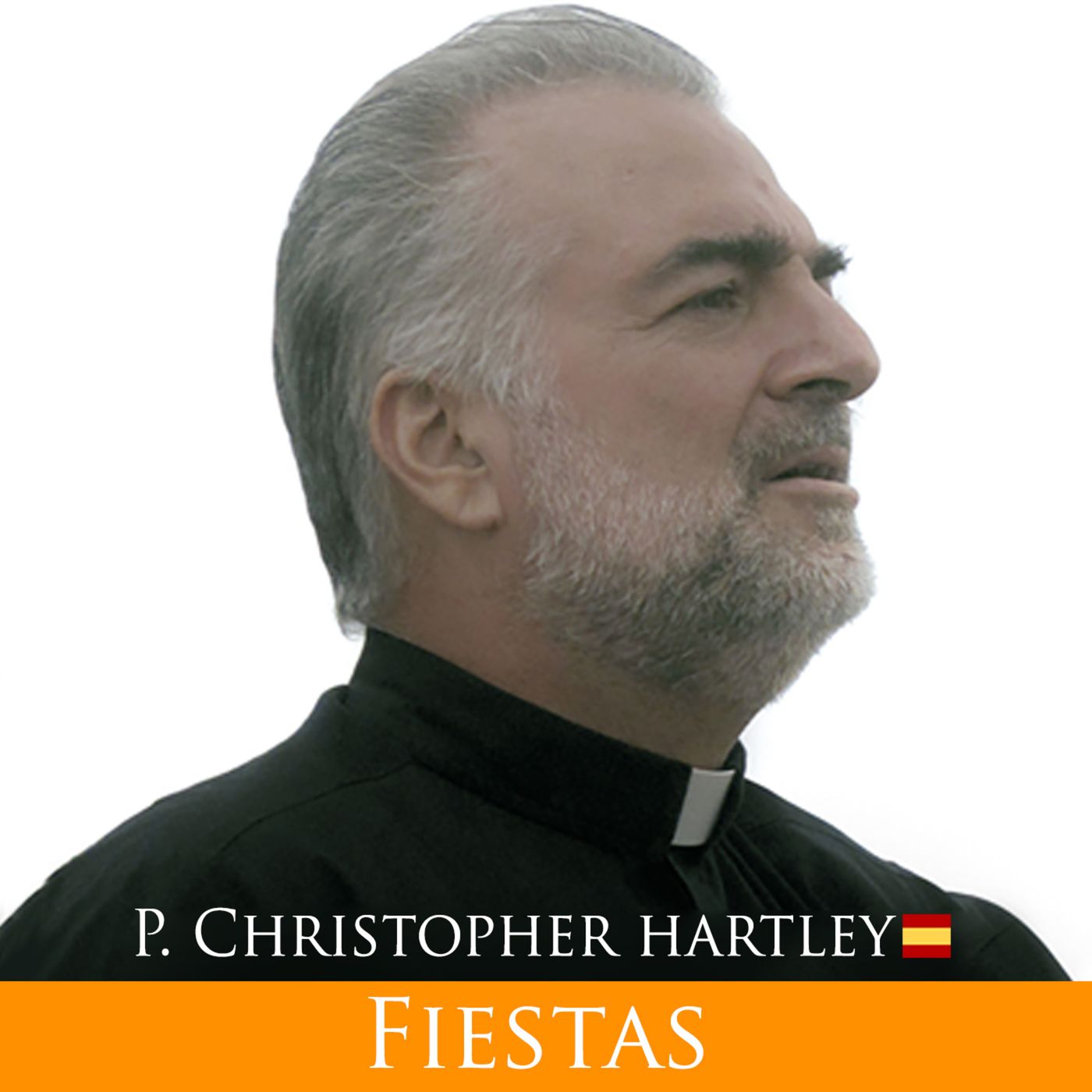 Padre Christopher Hartley | Reflexión del Evangelio del Día 🇪🇸