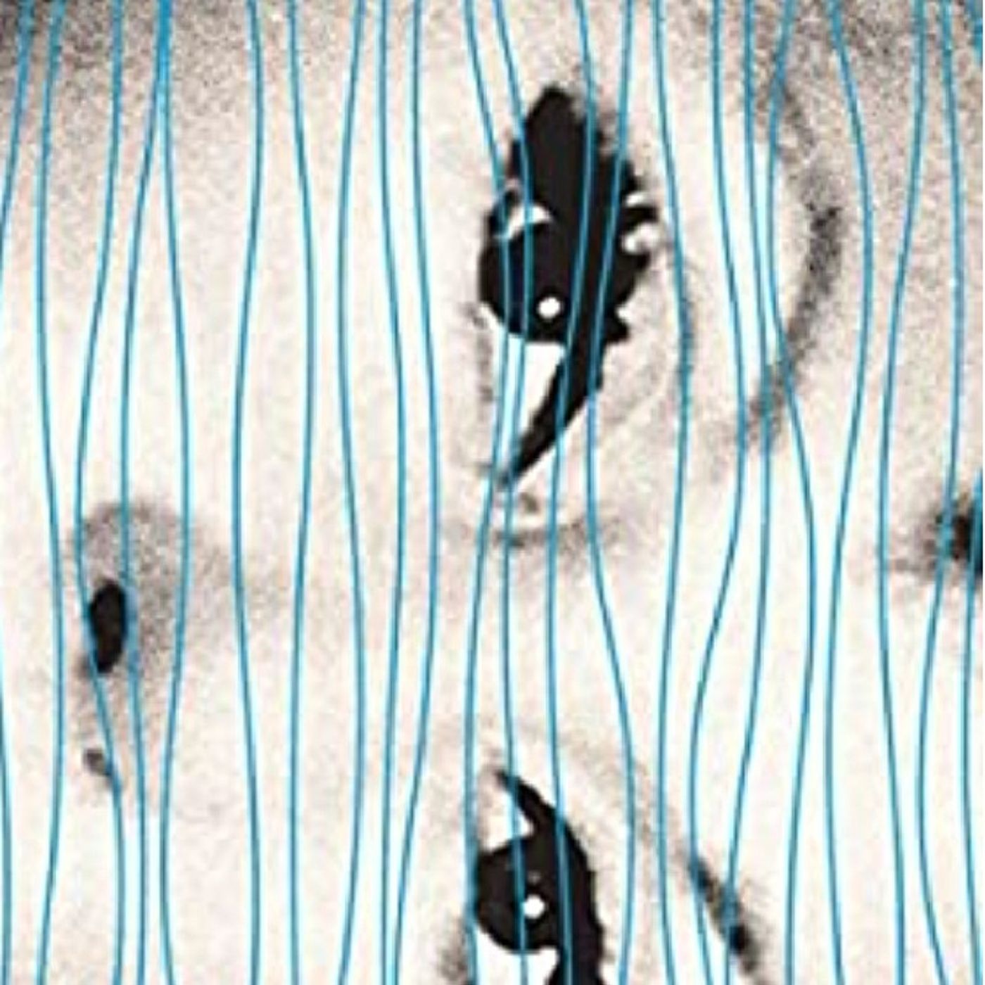 8.19. Clarice Lispector: Aber es wird regnen (Kerstin Morgenstern) episode artwork