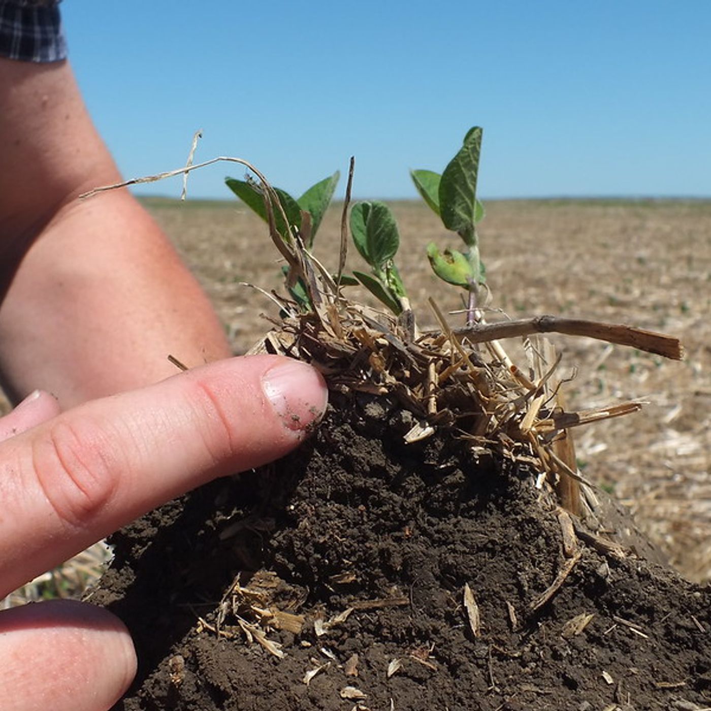 Le news di Re Soil Foundation