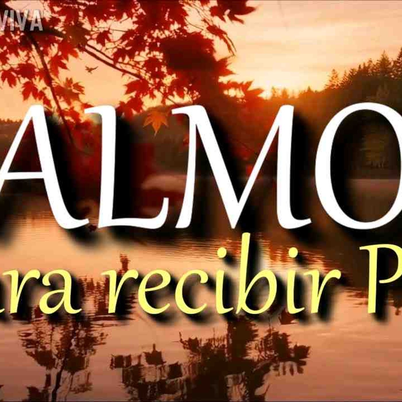 Salmos para recibir Paz y Animo _ Biblia hablada _ Palabra de Dios _ Psalms Bible audio(MP3_160K)_3 episode artwork