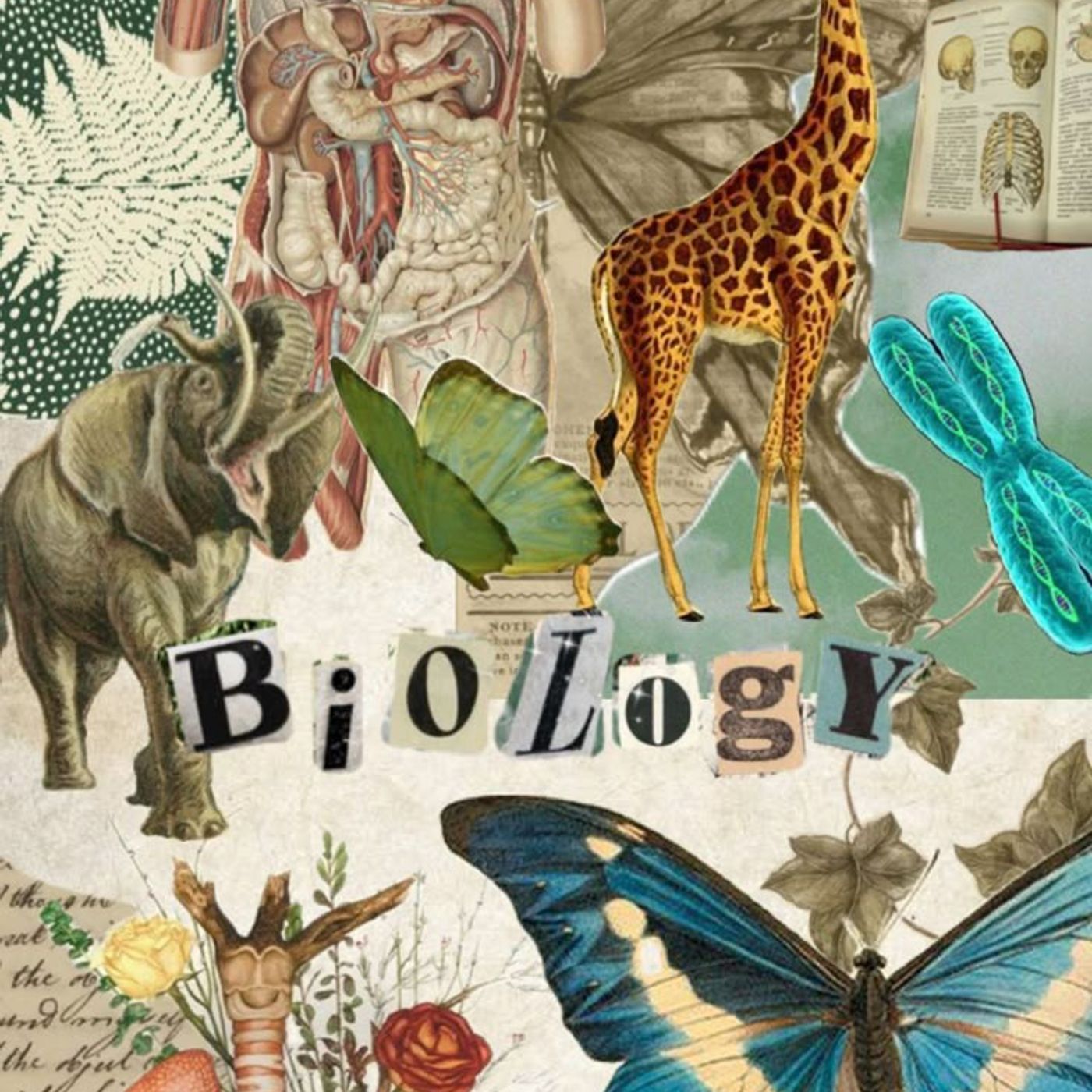 Biología