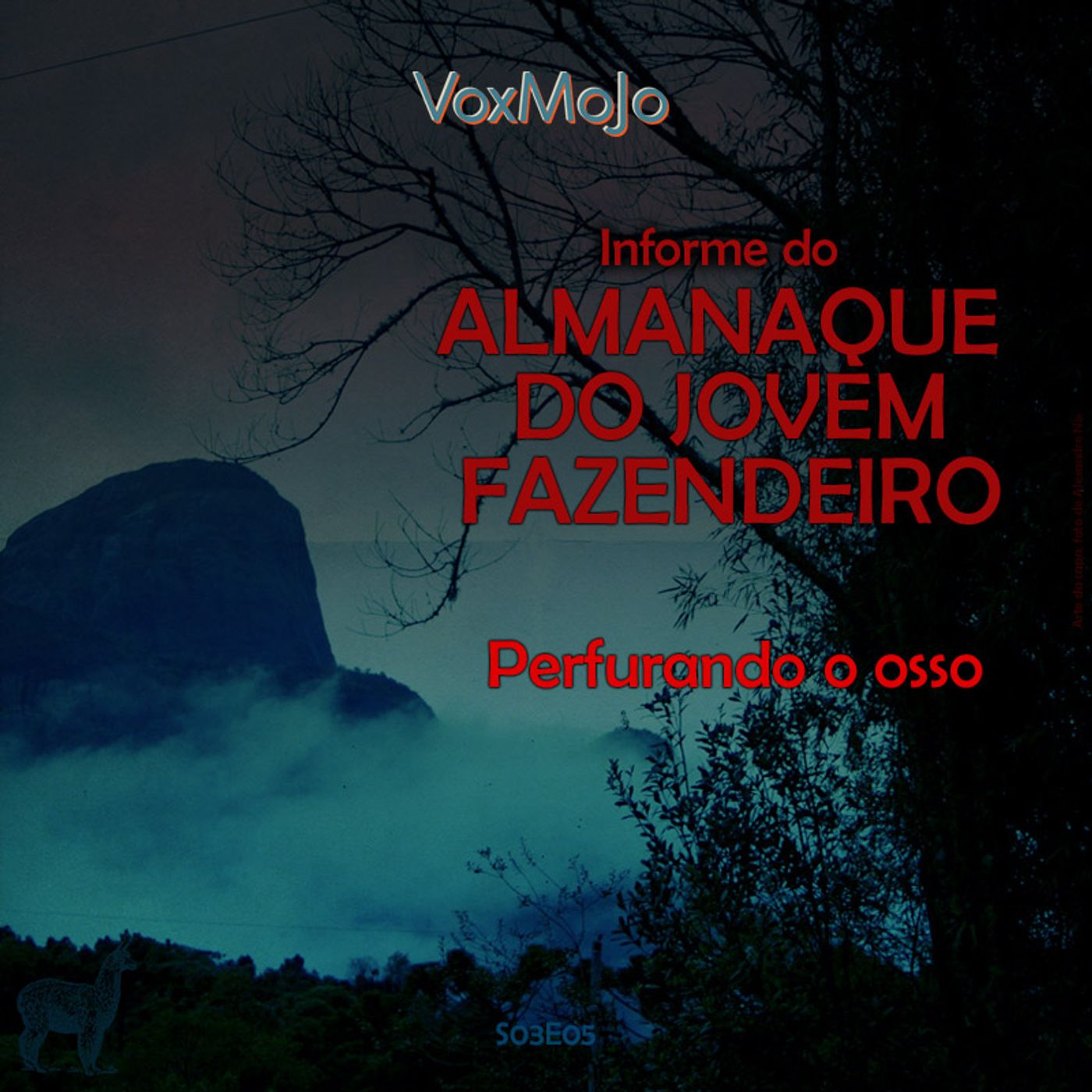 Informe do Almanaque