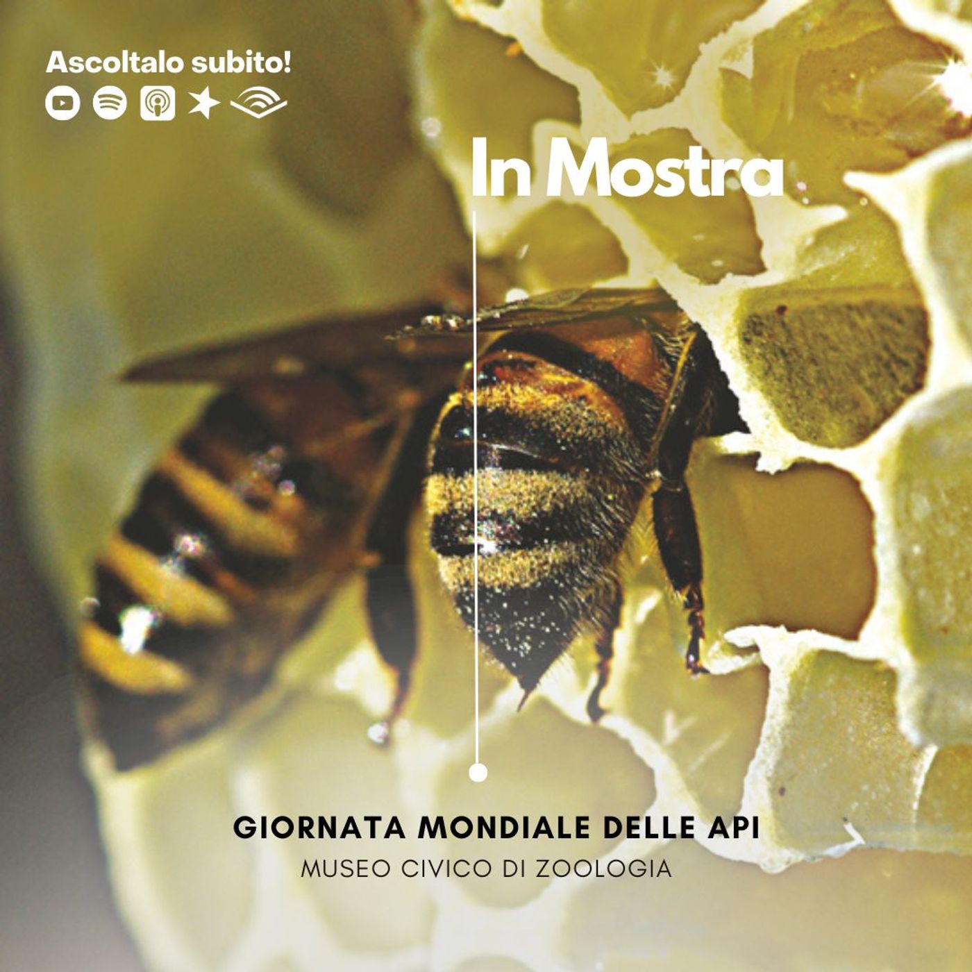 In mostra