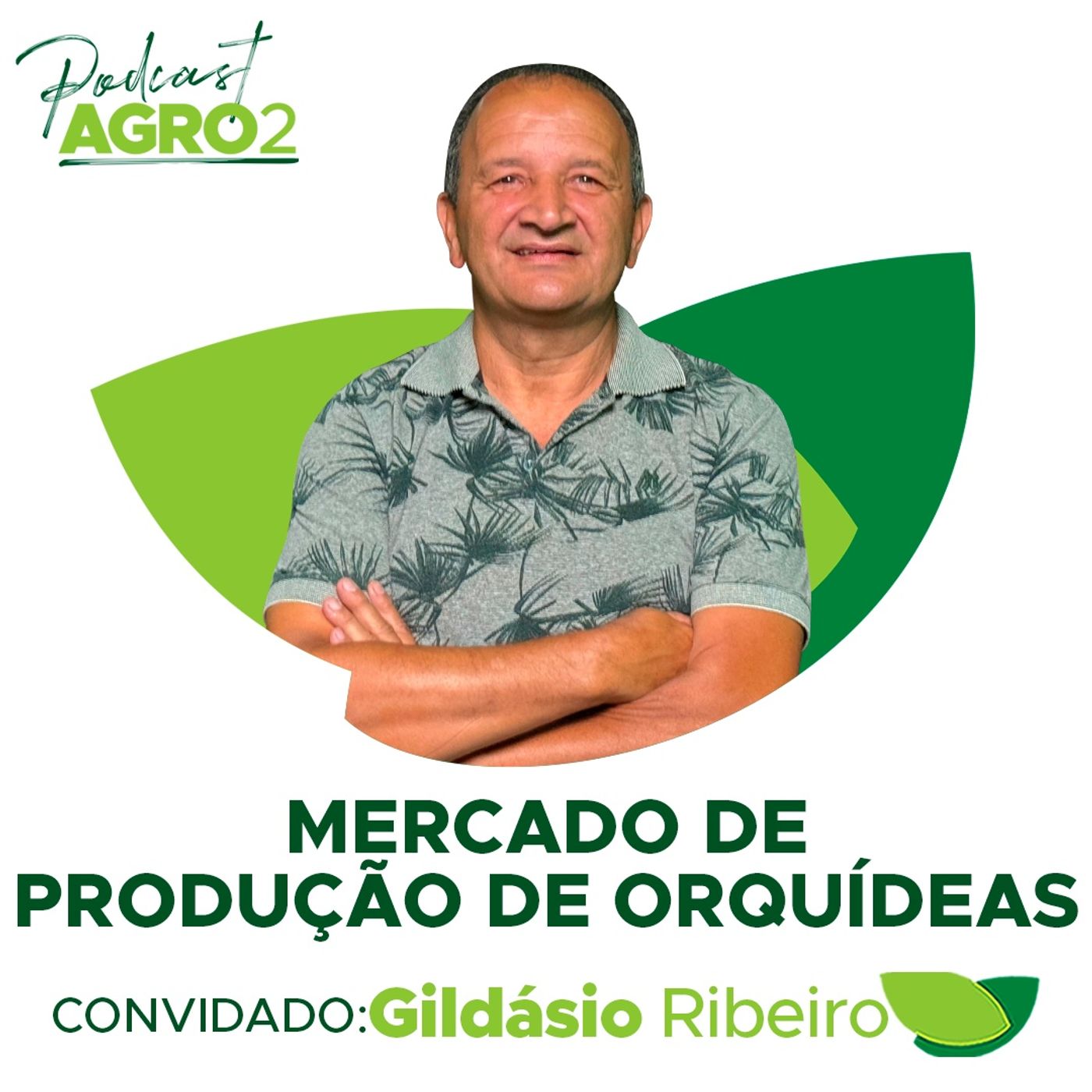 Produção de variedades de orquídeas é opção rentável para produtores rurais #317 episode artwork