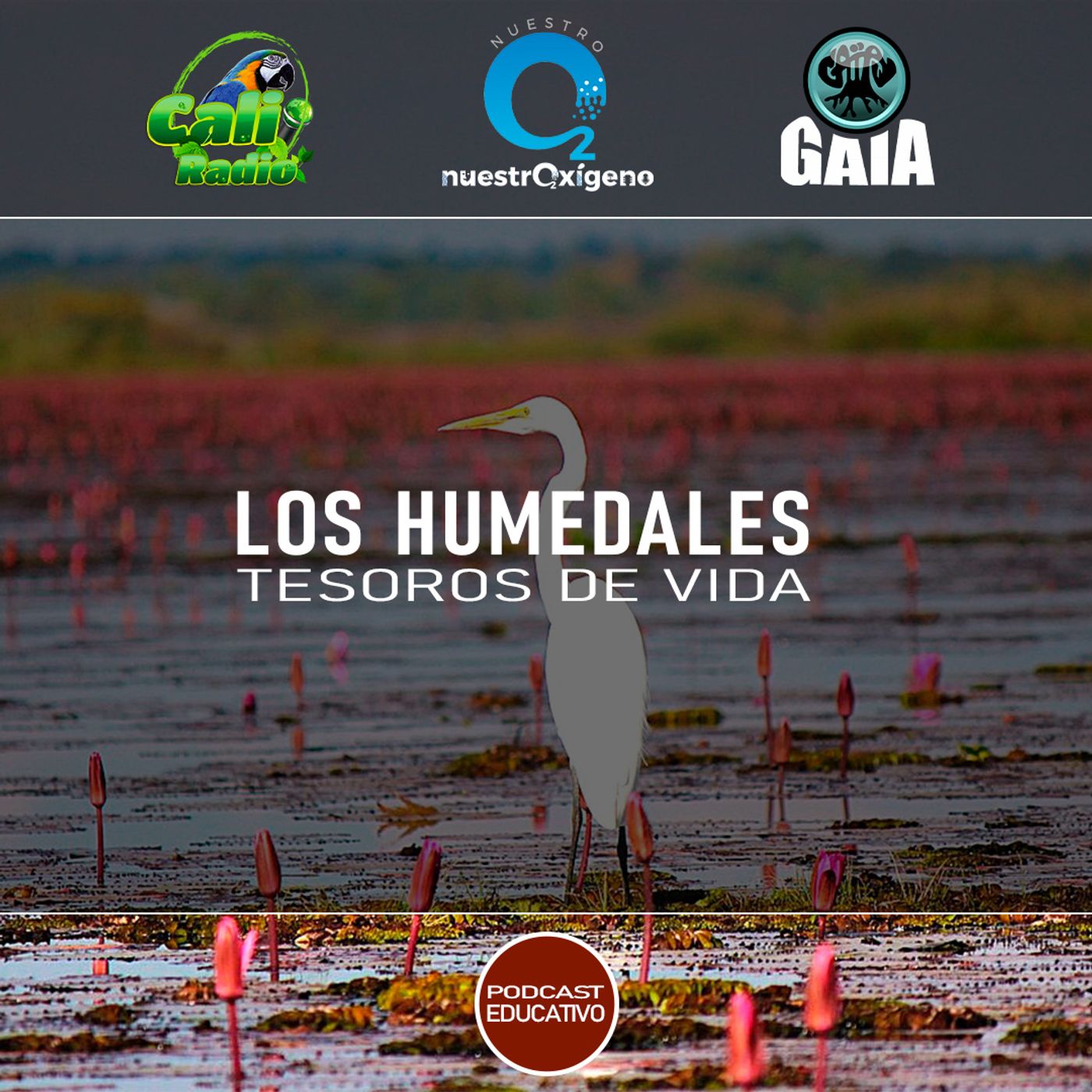 2025 Nuestro Oxígeno 02- Febrero