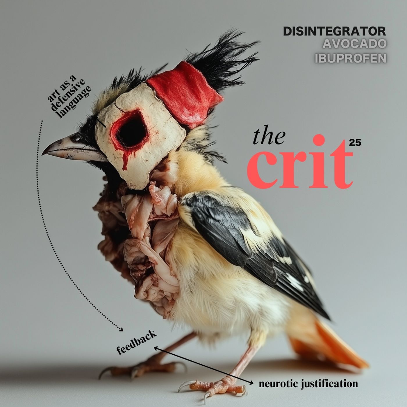Disintegrator