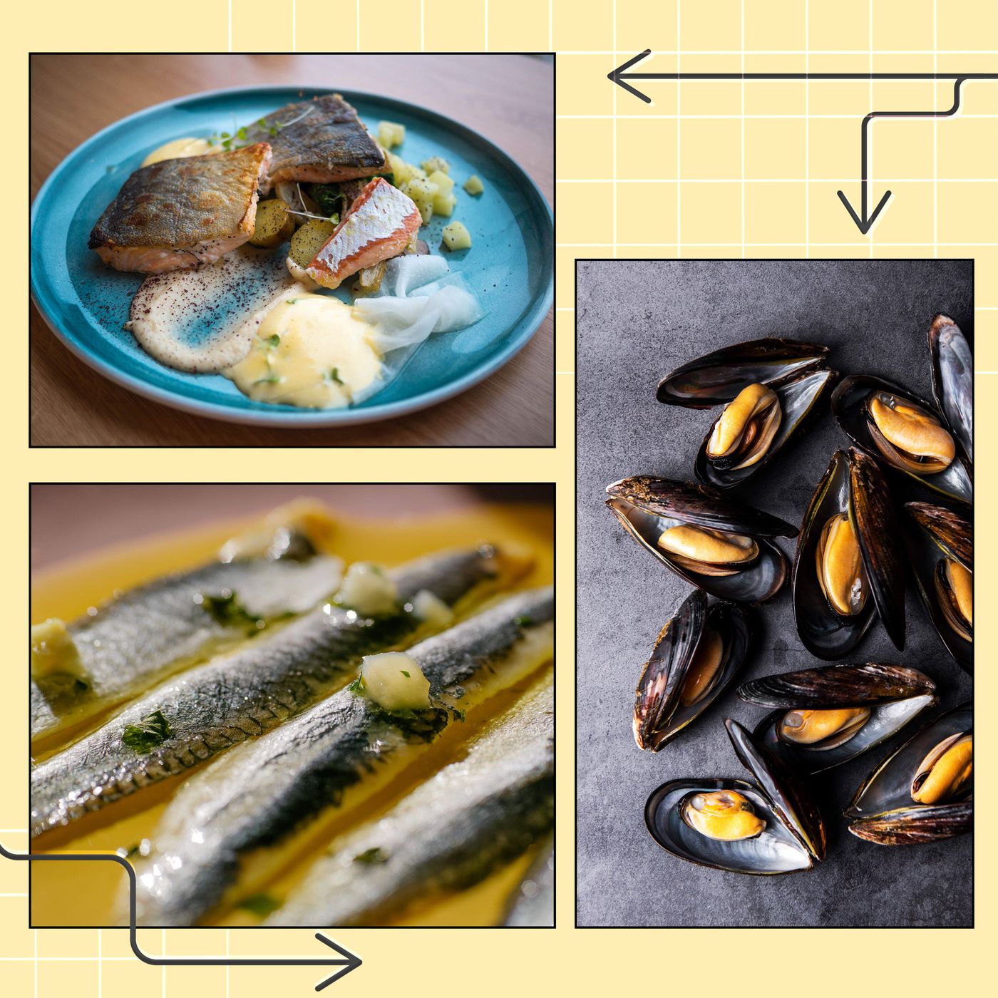 Do you love seafood? Here's how to eat it responsibly episode artwork
