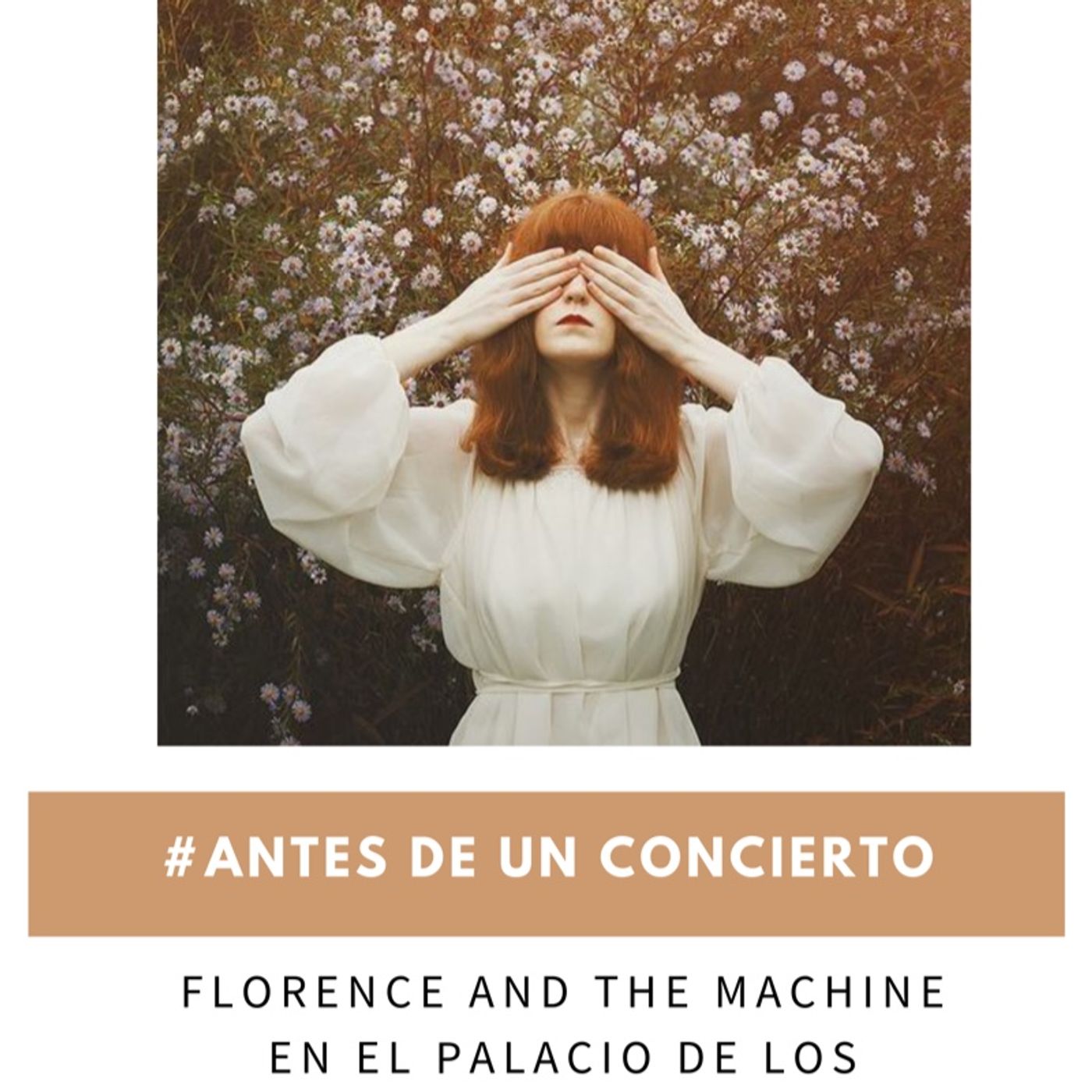 #AntesDeUnConcierto
