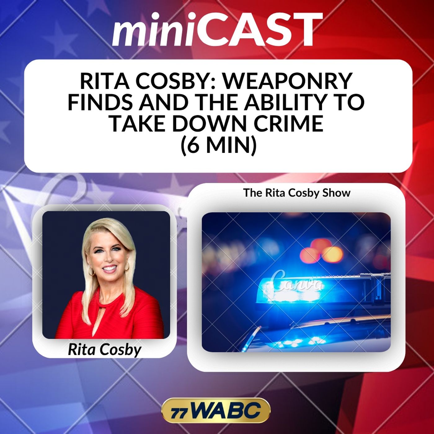 Rita Cosby: Weaponry Finds And The Ability To Take Down Crime (6 Min)
