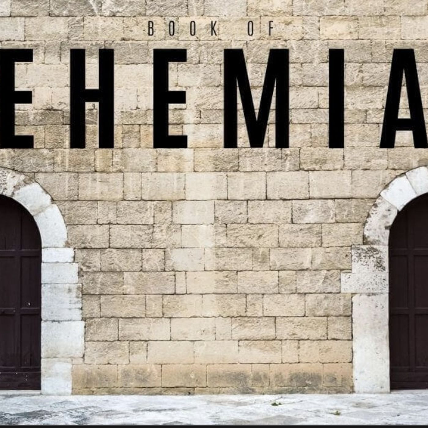 Nehemiah chapter 11