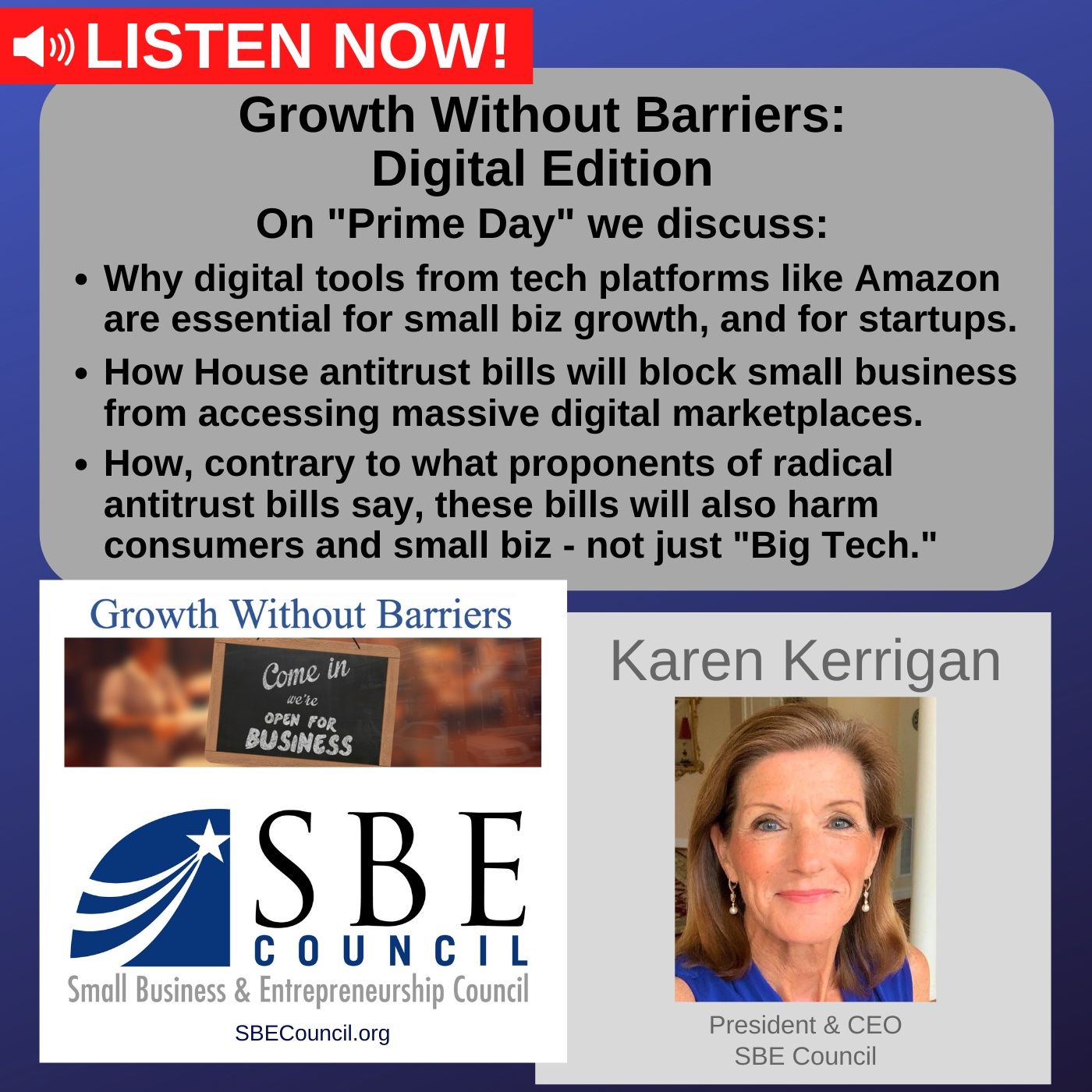 Growth Without Barriers - DIGITAL EDITION: Prime Day, "Big Tech" antitrust bills, and why platforms like Amazon are essential for small biz. episode artwork