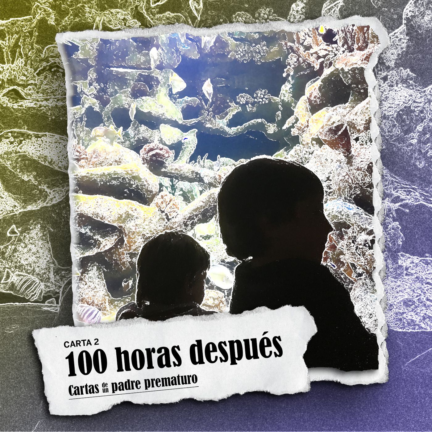 Cartas de un padre prematuro