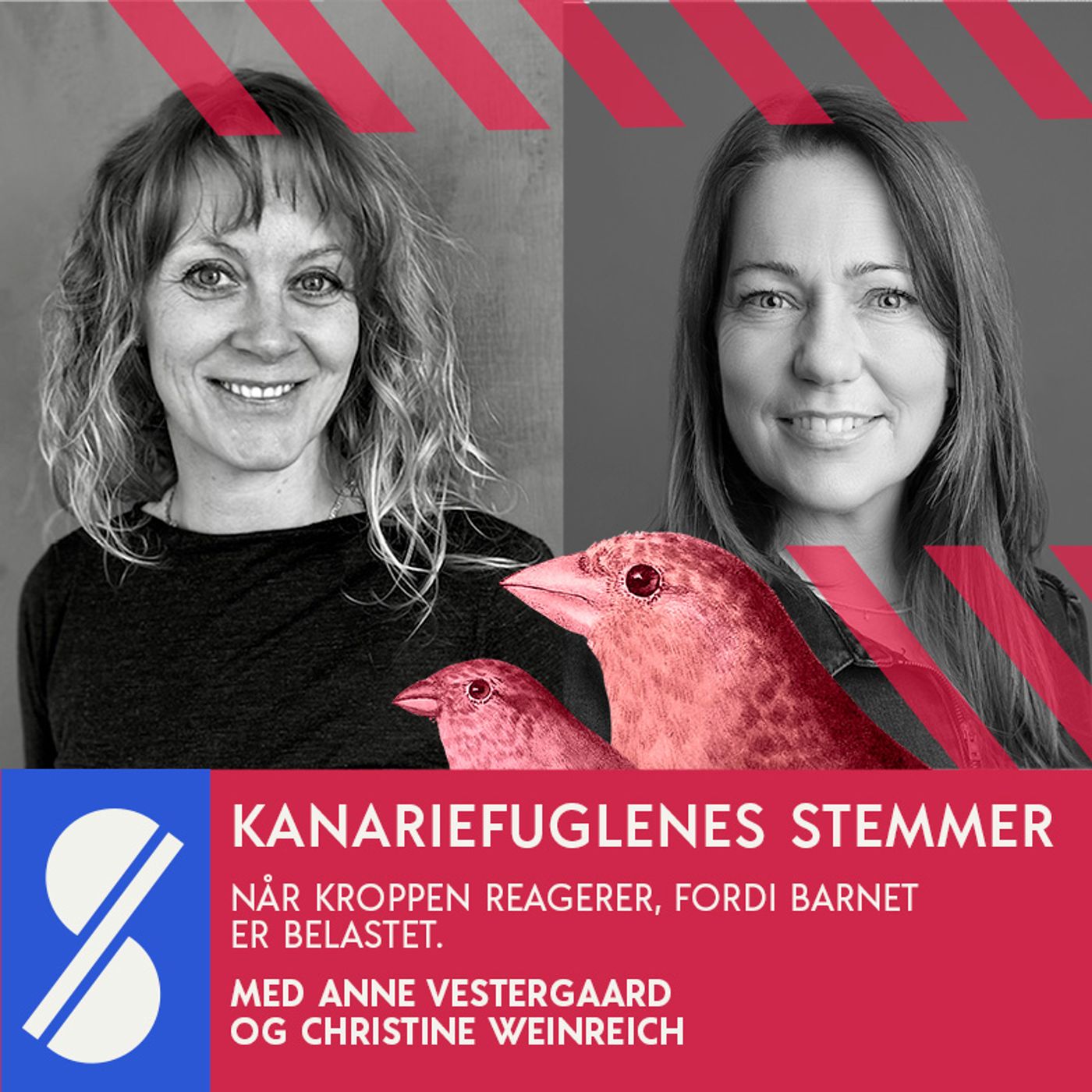 Kanariefuglenes stemmer