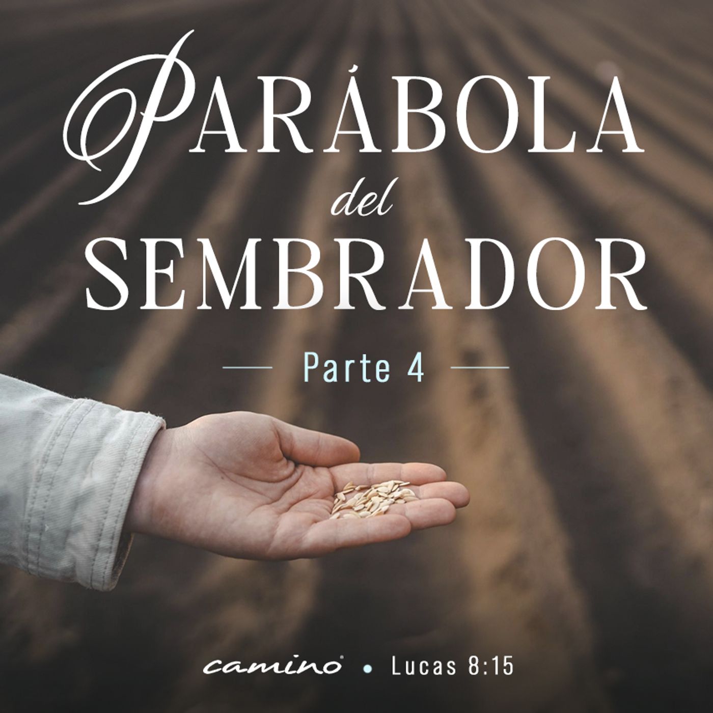Oración 7 de noviembre (Parábola del sembrador parte 4) episode artwork