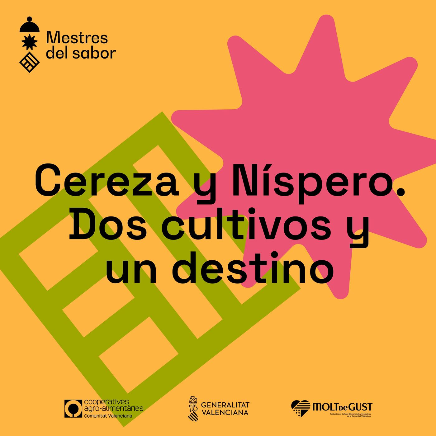 Ep. 1 - Cerezas y Nísperos. Dos cultivos y un destino