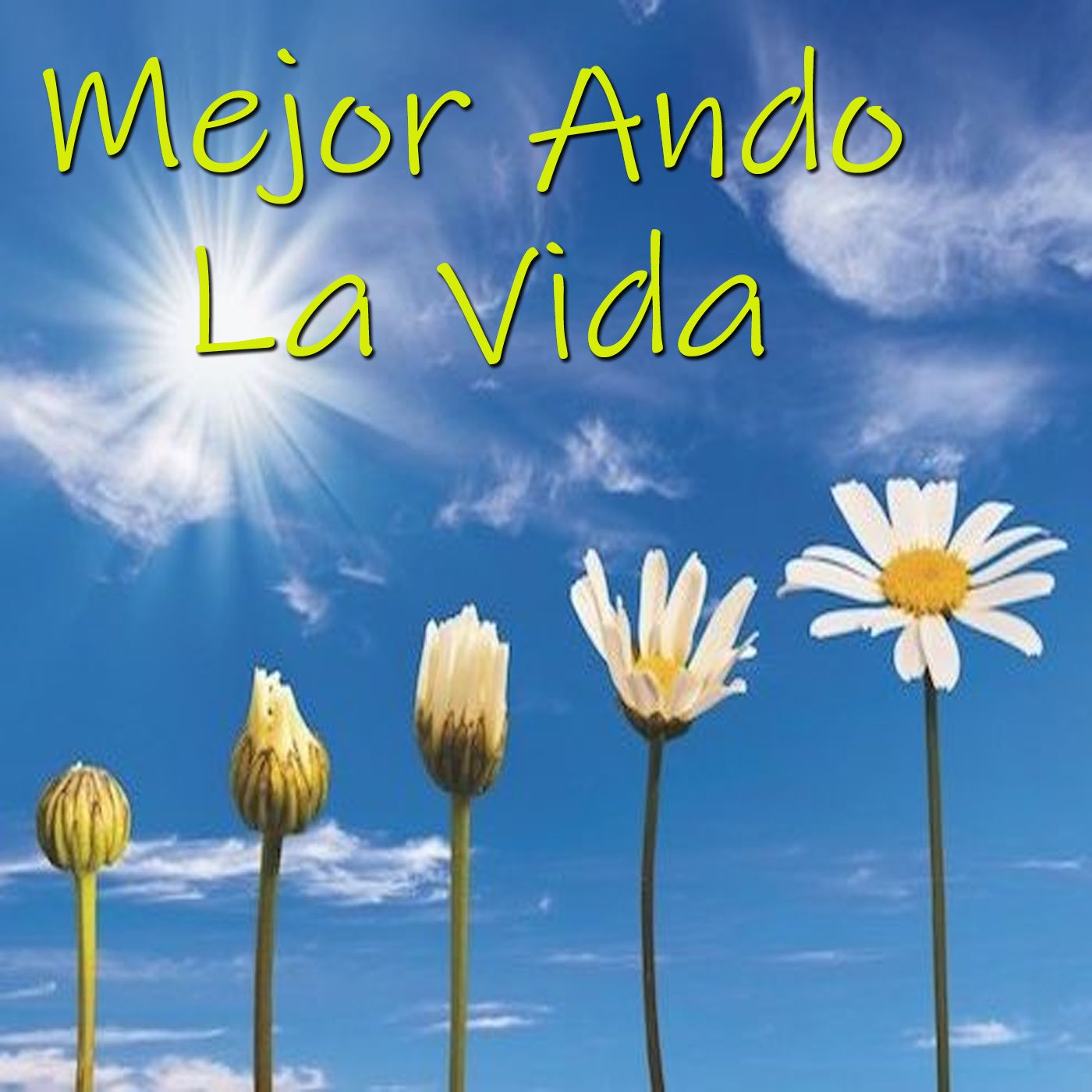 Mejor Ando la Vida