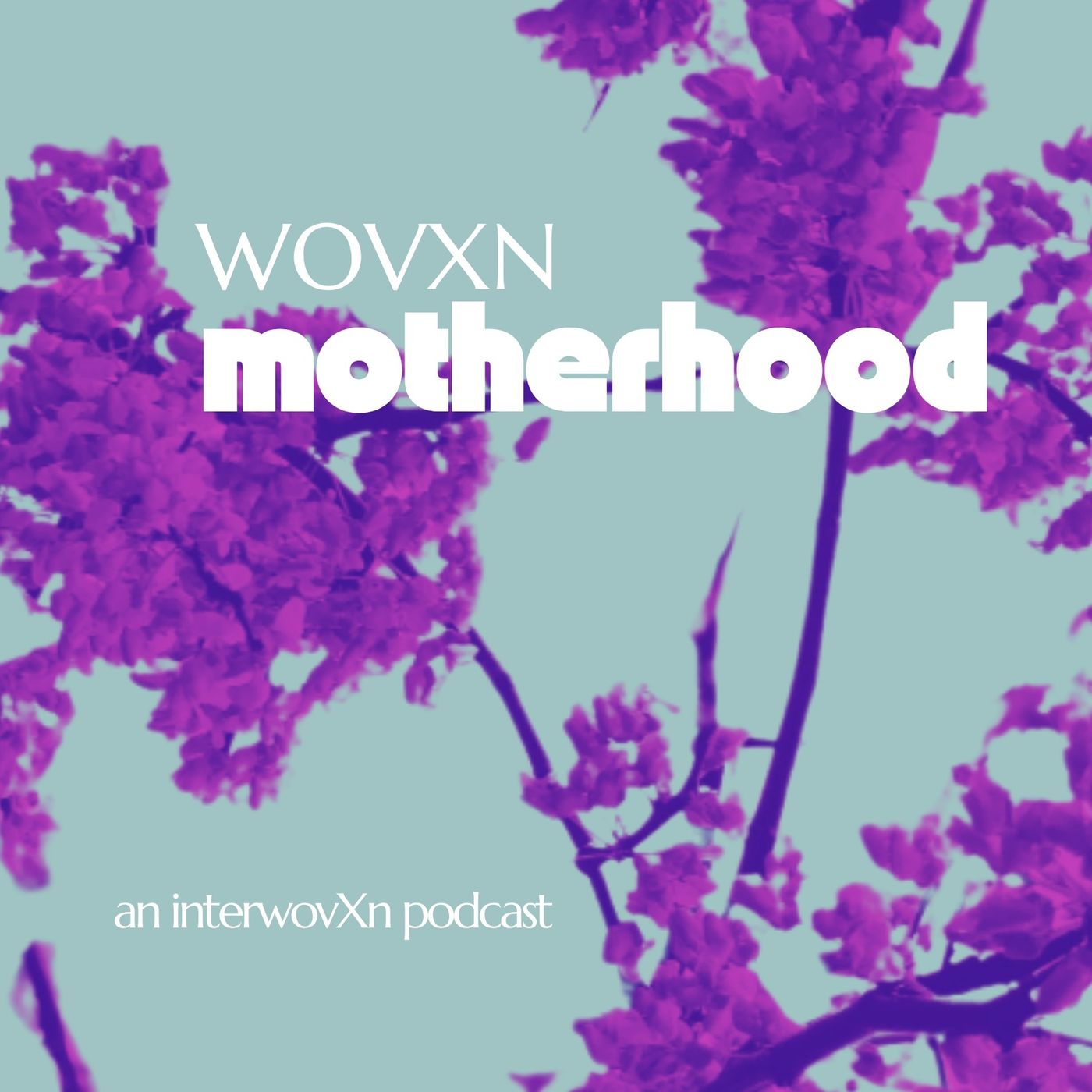 WOVXN Motherhood: Compassion Fatigue episode artwork