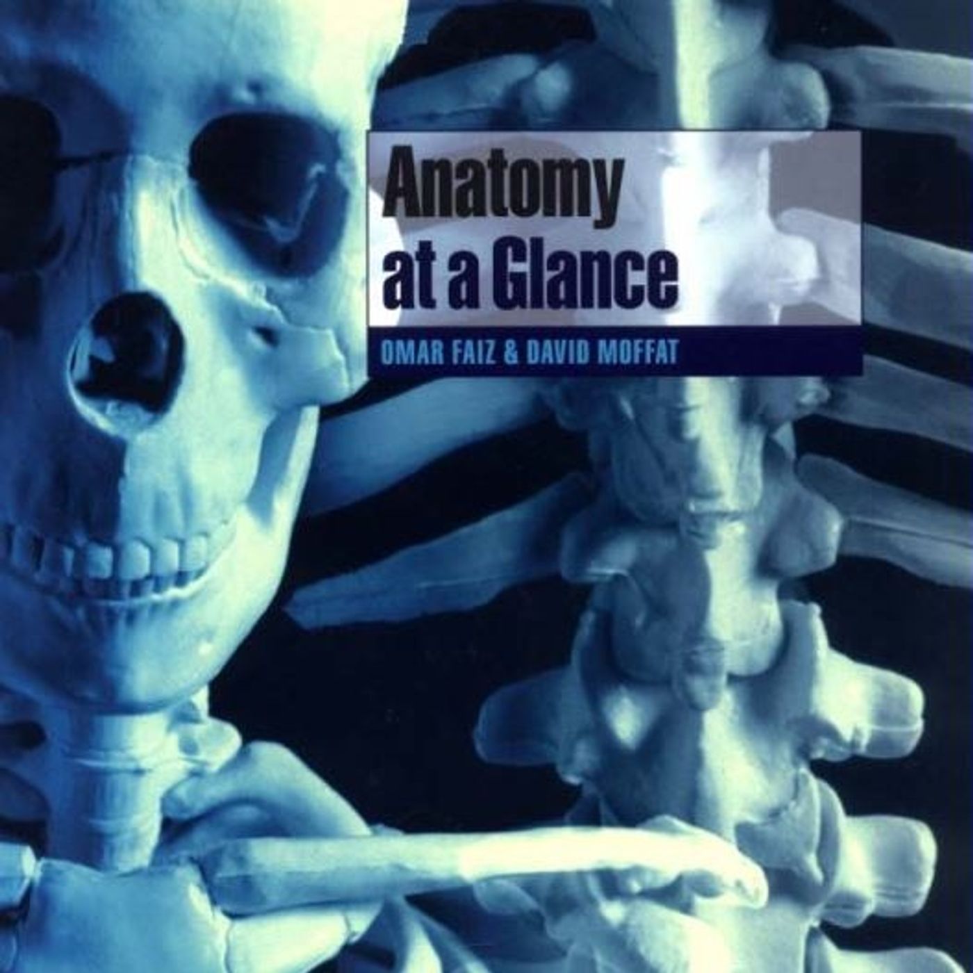 Anatomy at a Glance
