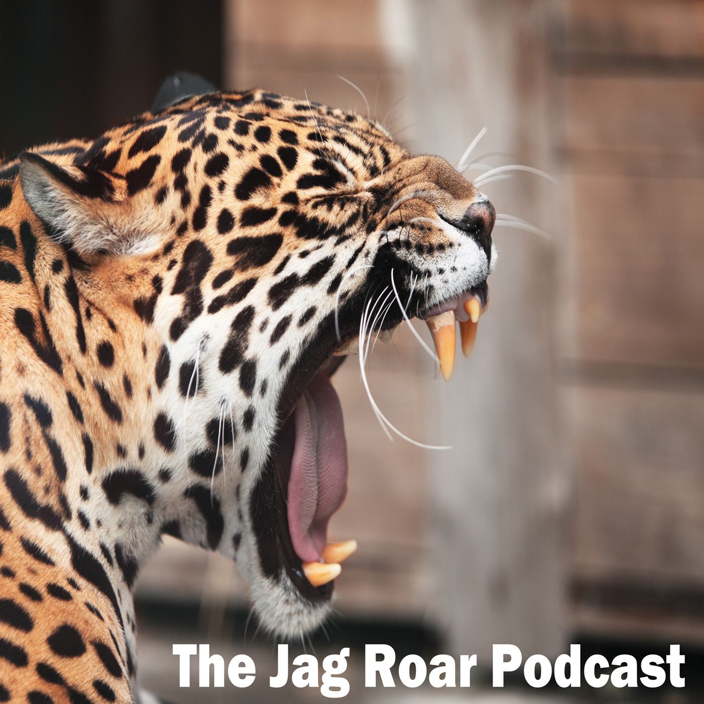 The Jag Roar Podcast