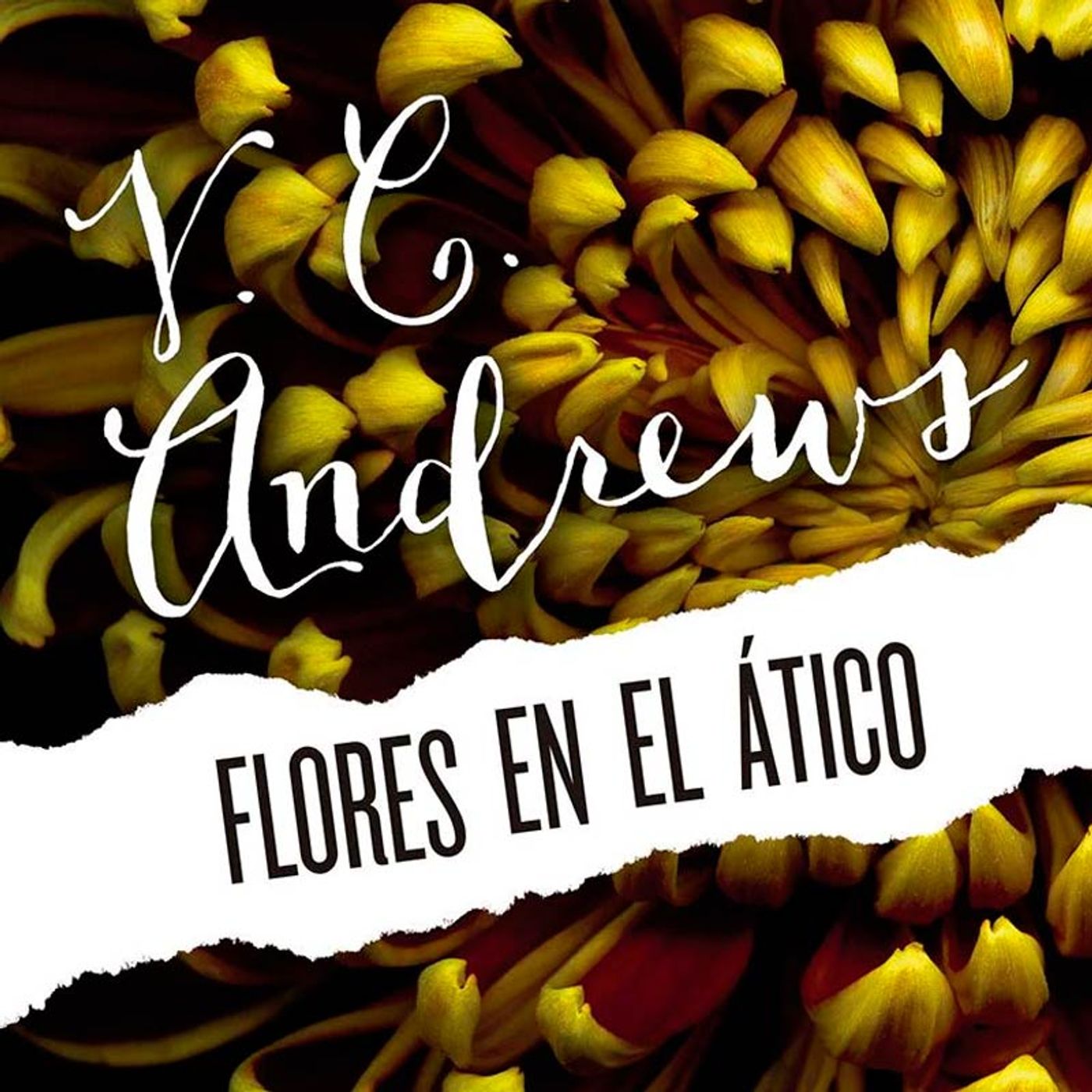 La Narración