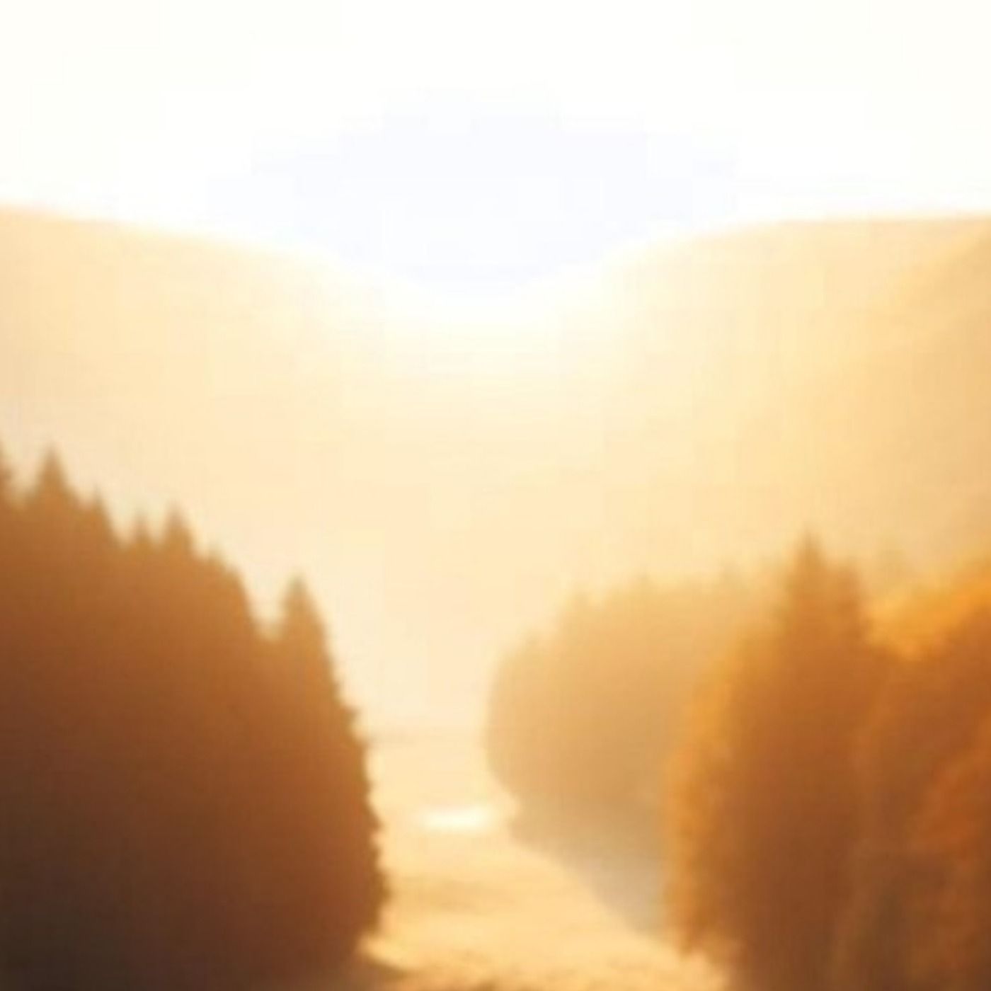 Toxic or Just Complicated? 6 Signs to Spot Toxic People in Your Life