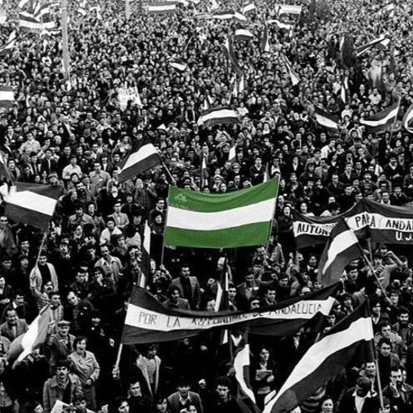 CEIP NUESTRA SEÑORA DEL ROSARIO