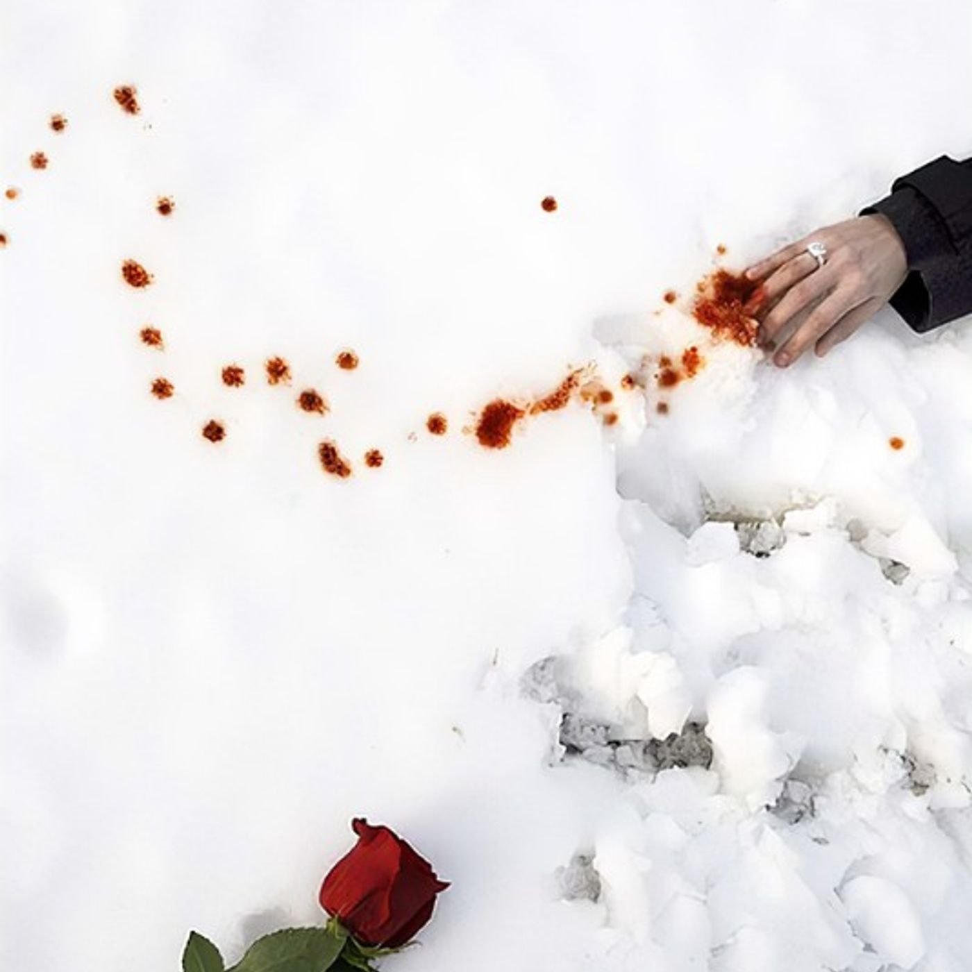 El rastro de tu sangre en la nieve podcast artwork
