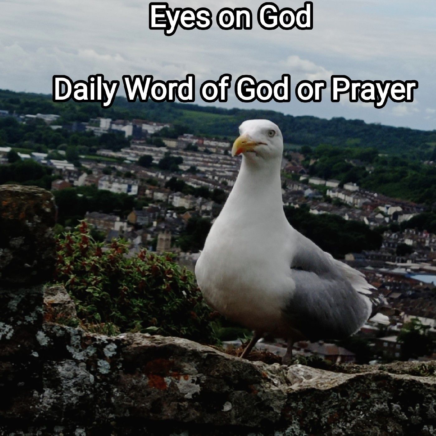 Eyes on God -  Word and Prayer